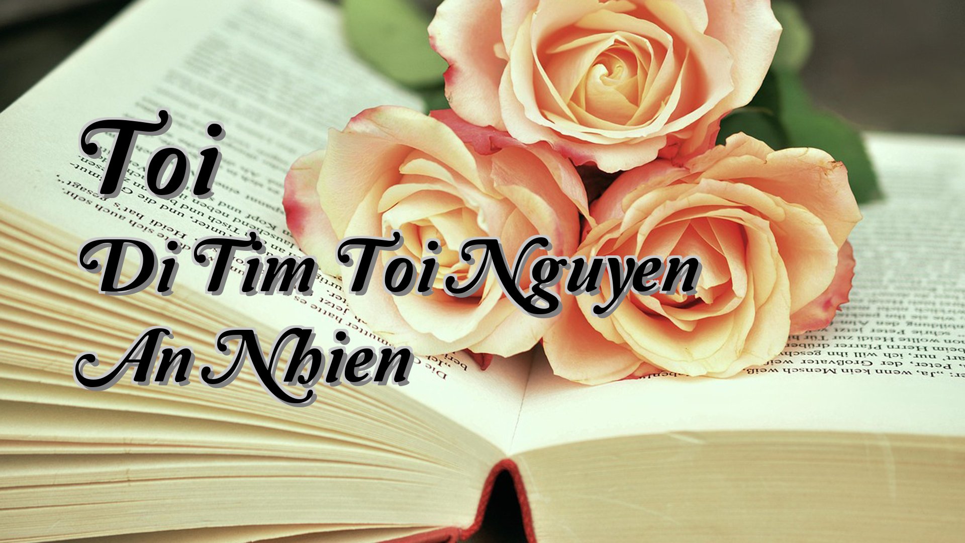 cover-Toi Di Tim Toi Nguyen An Nhien