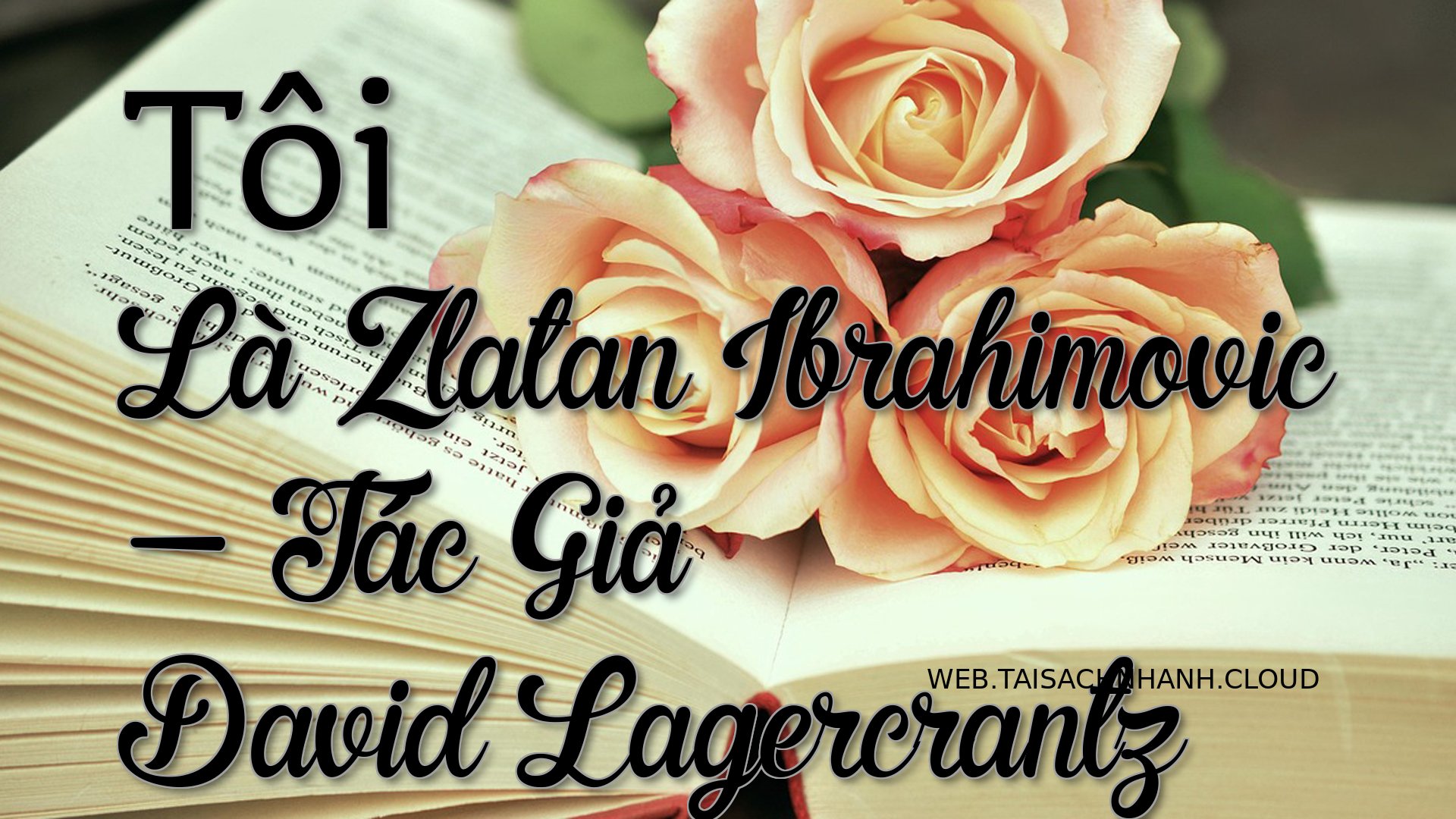 Cover Toi La Zlatan Ibrahi.jpg