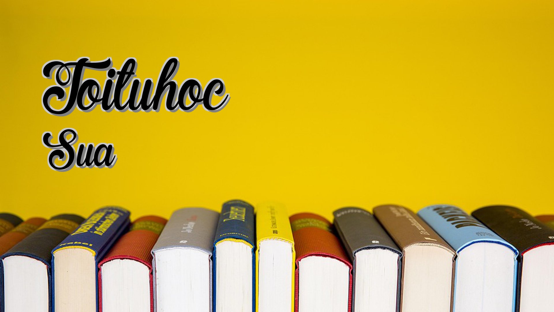 Cover image for Toituhoc Sua