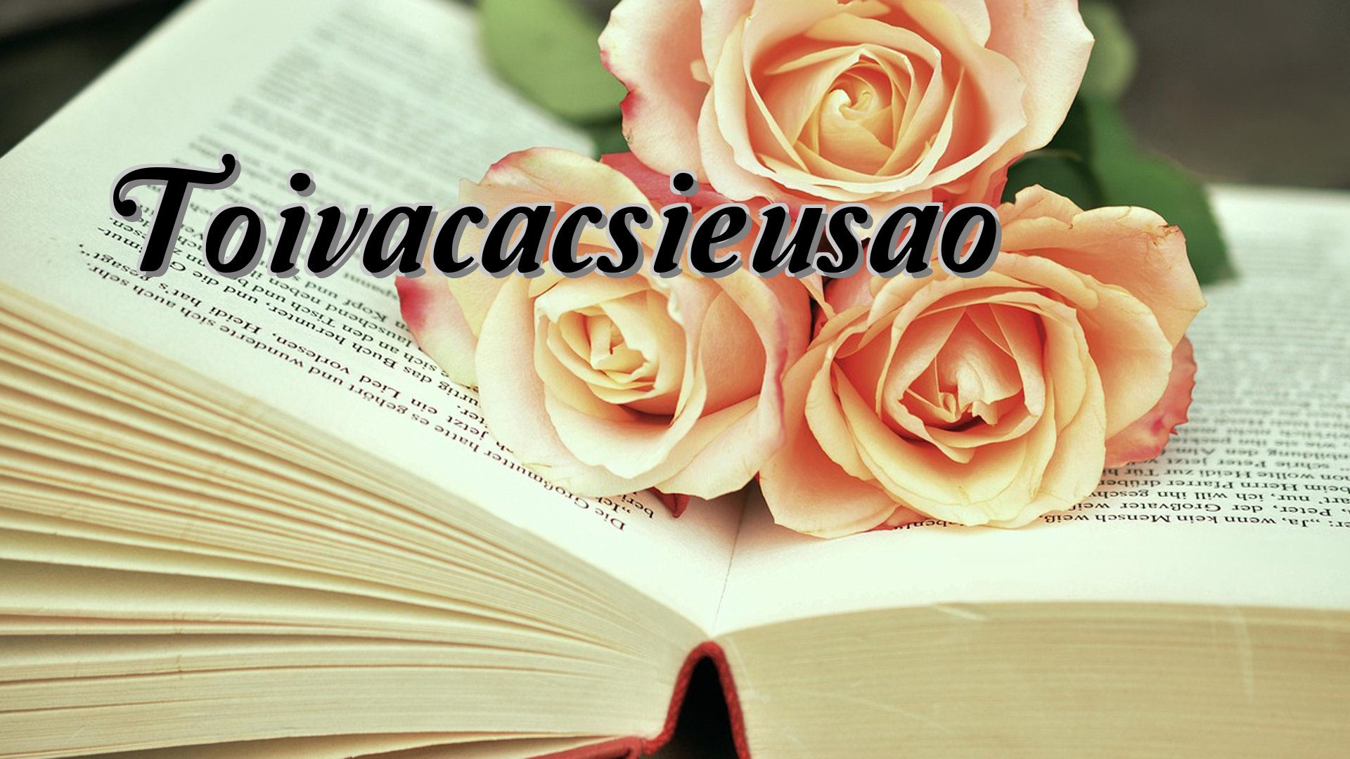 cover-Toivacacsieusao