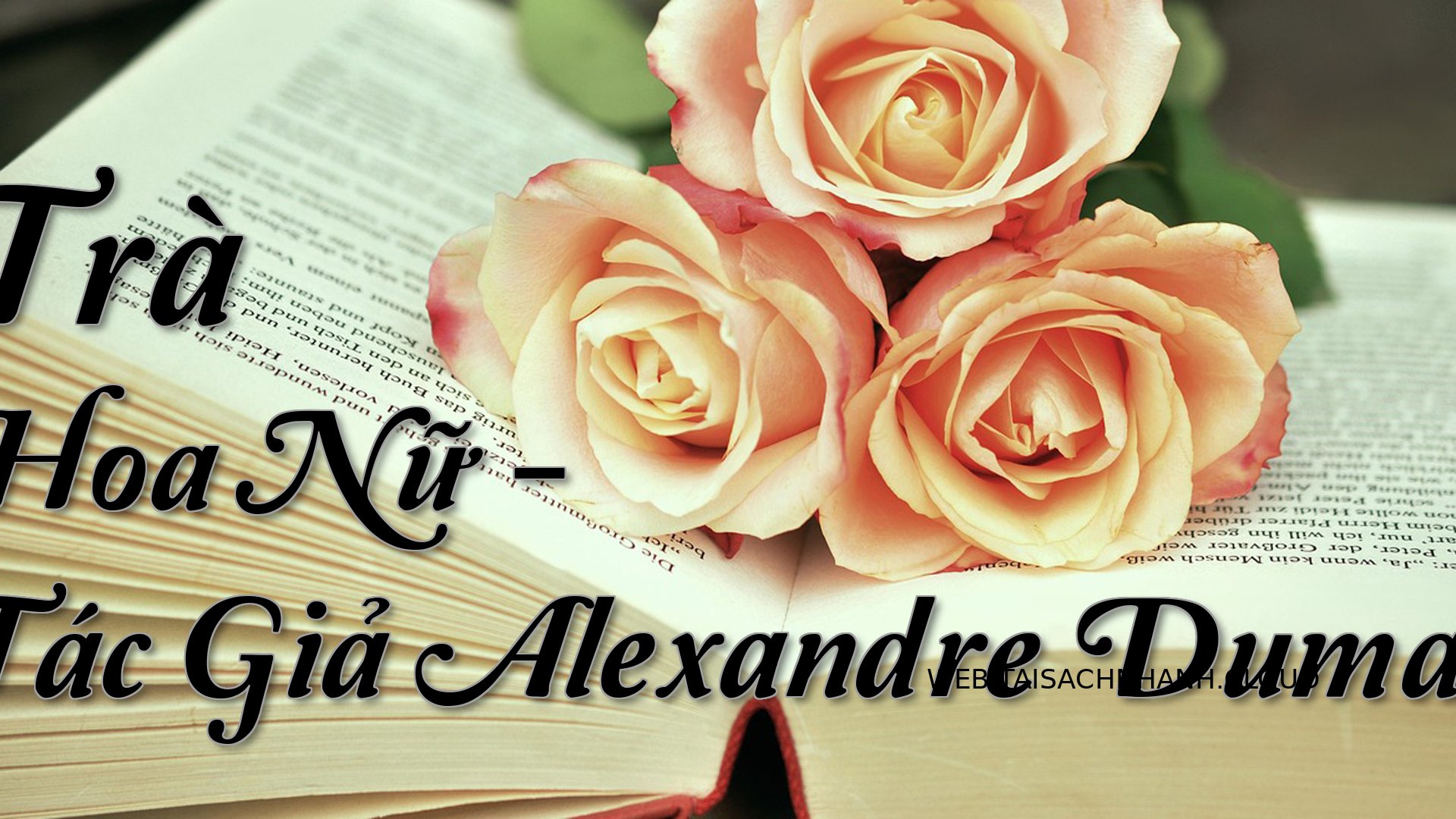 Cover Tra Hoa Nu.jpg