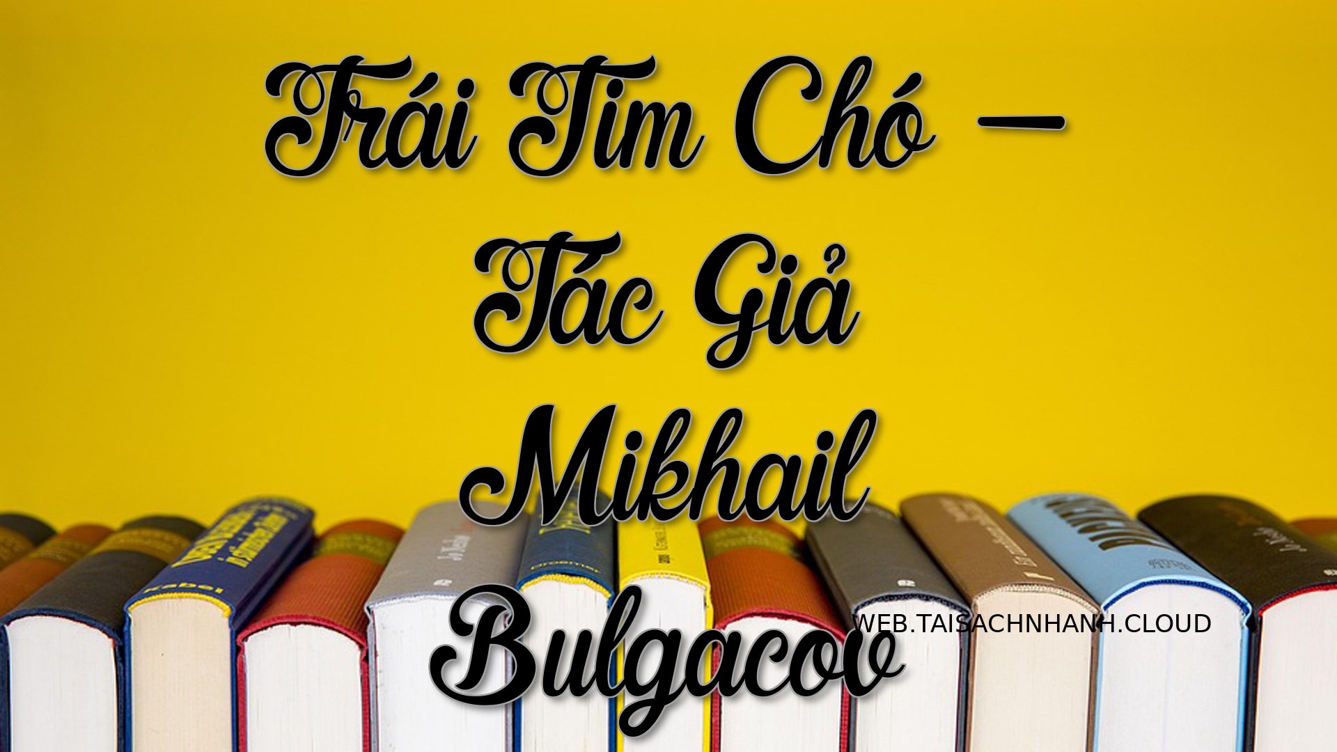 Cover Trai Tim Cho.jpg