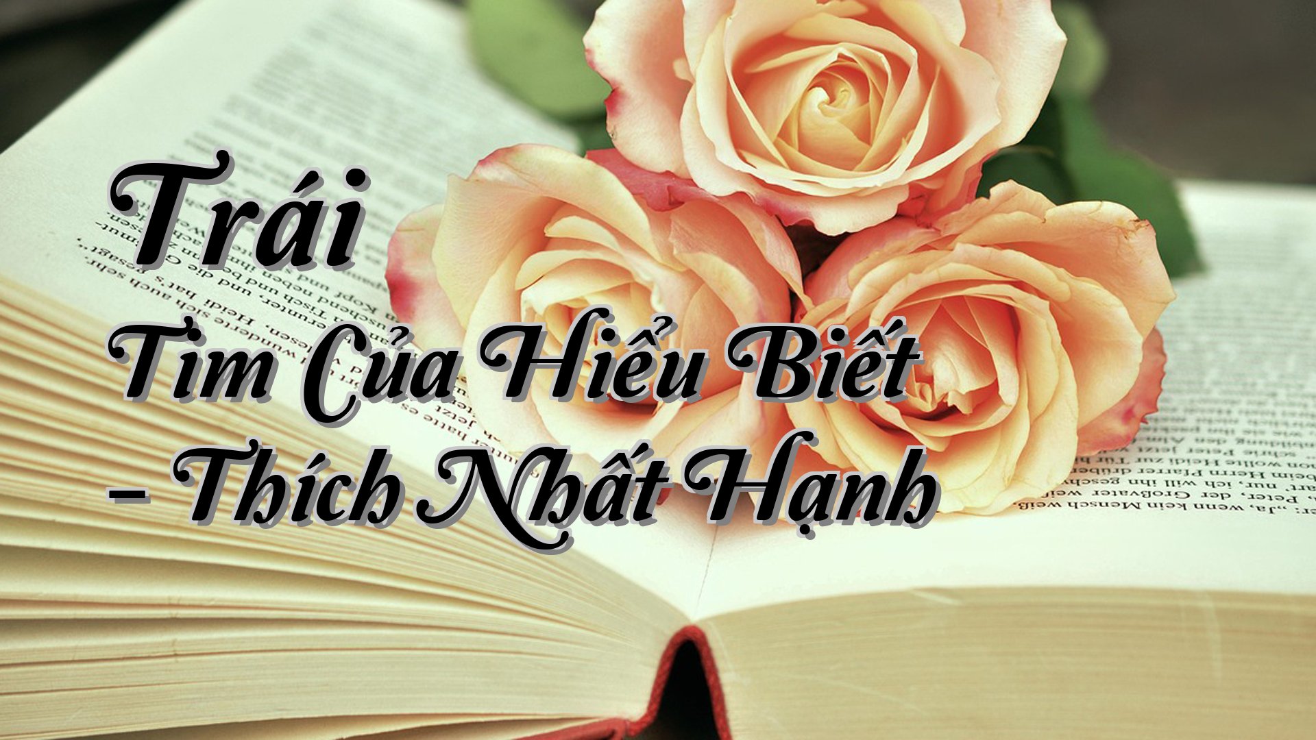cover-Trái Tim Của Hiểu Biết - Thích Nhất Hạnh