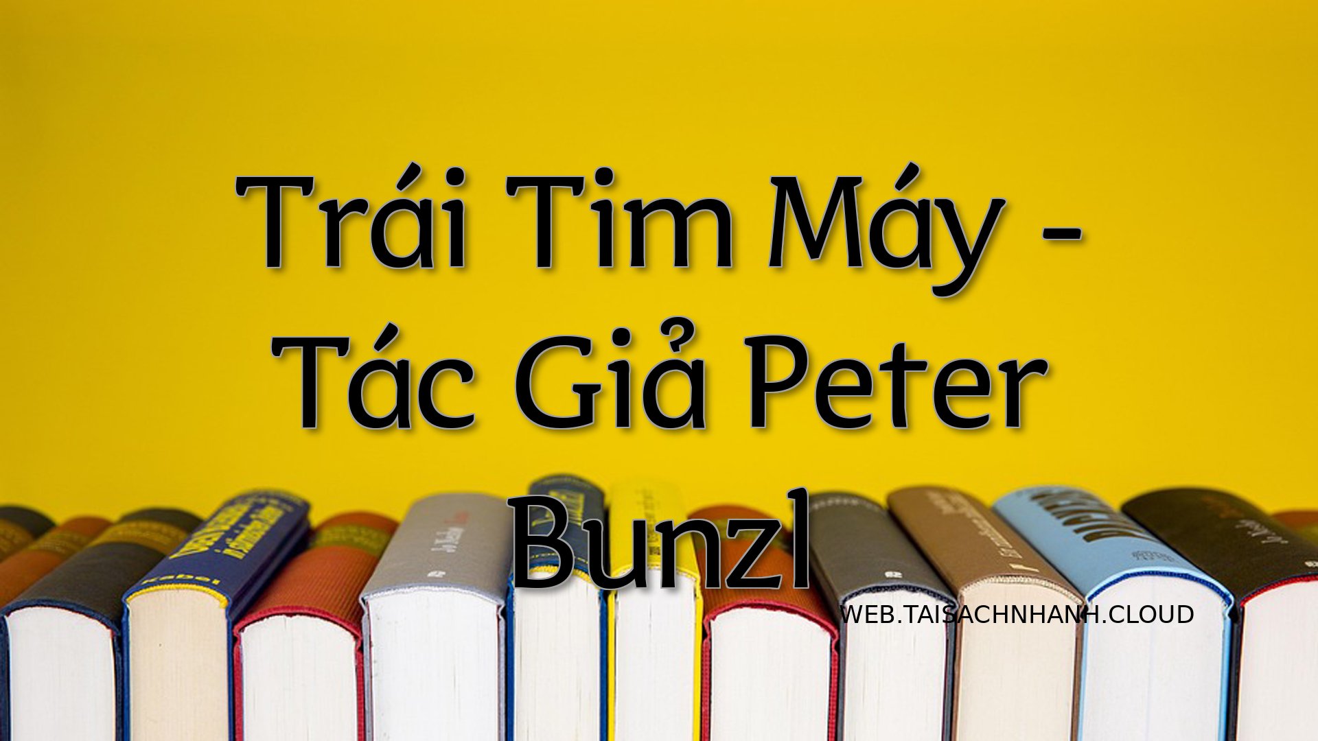 Cover Trai Tim May.jpg