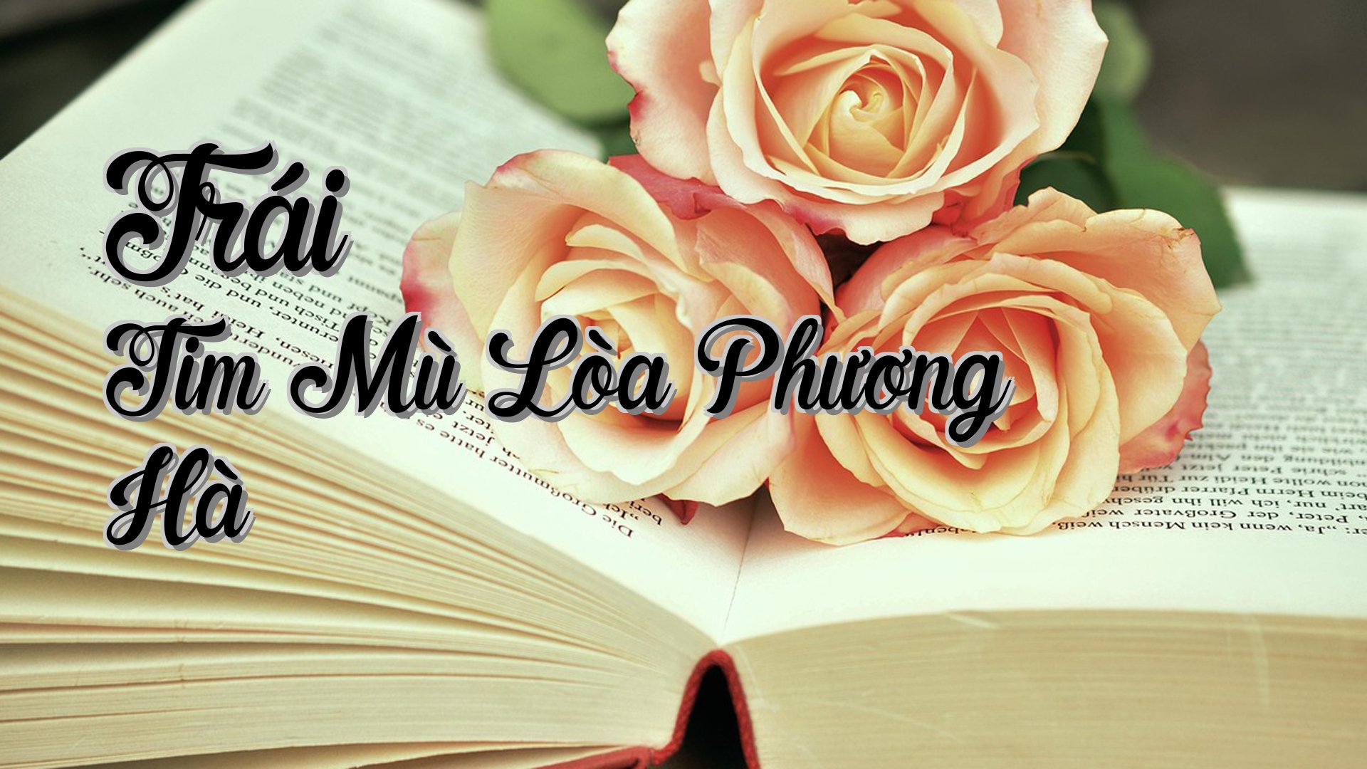 cover-Trái Tim Mù Lòa Phương Hà