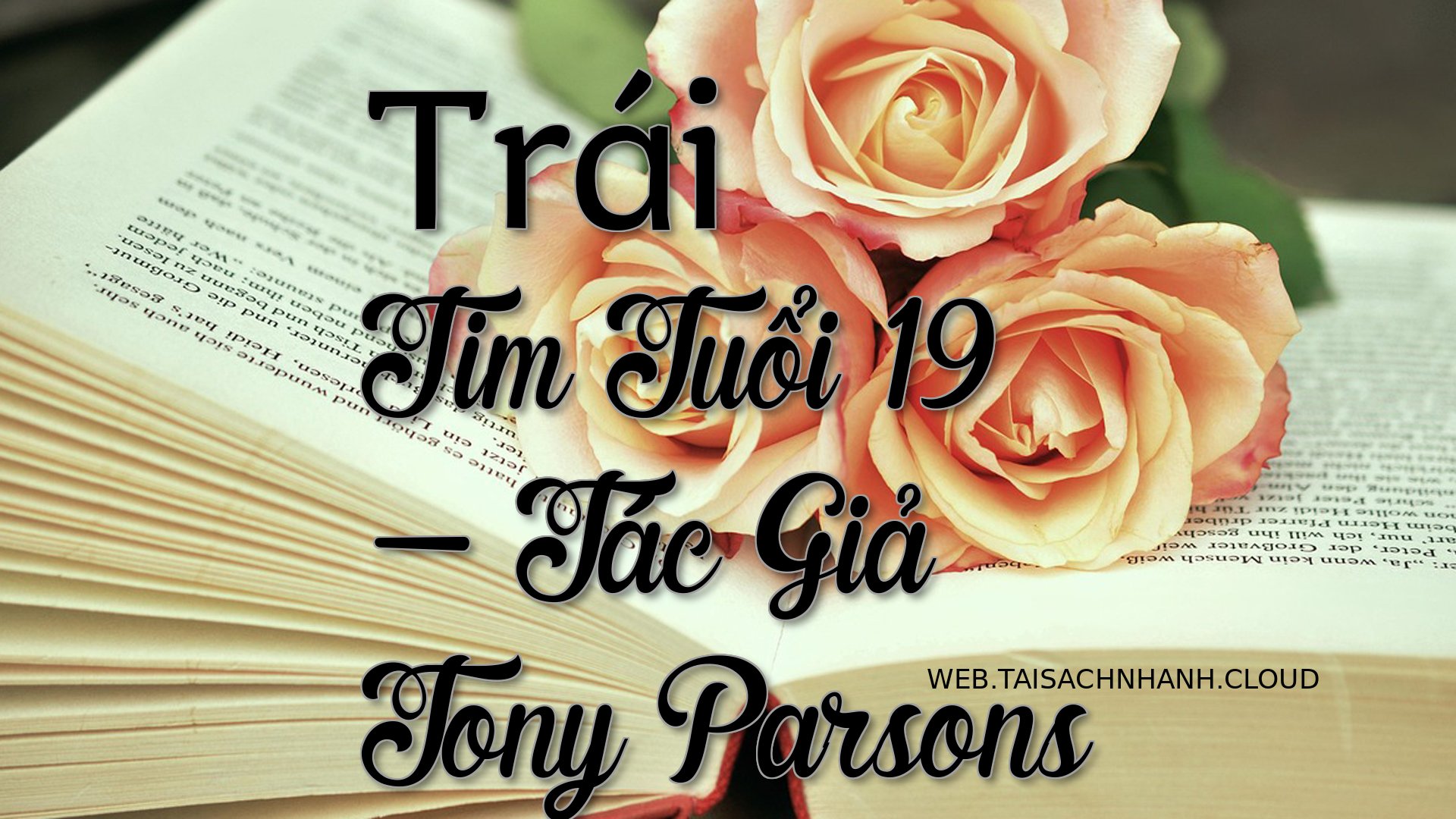 Cover Trai Tim Tuoi 19.jpg