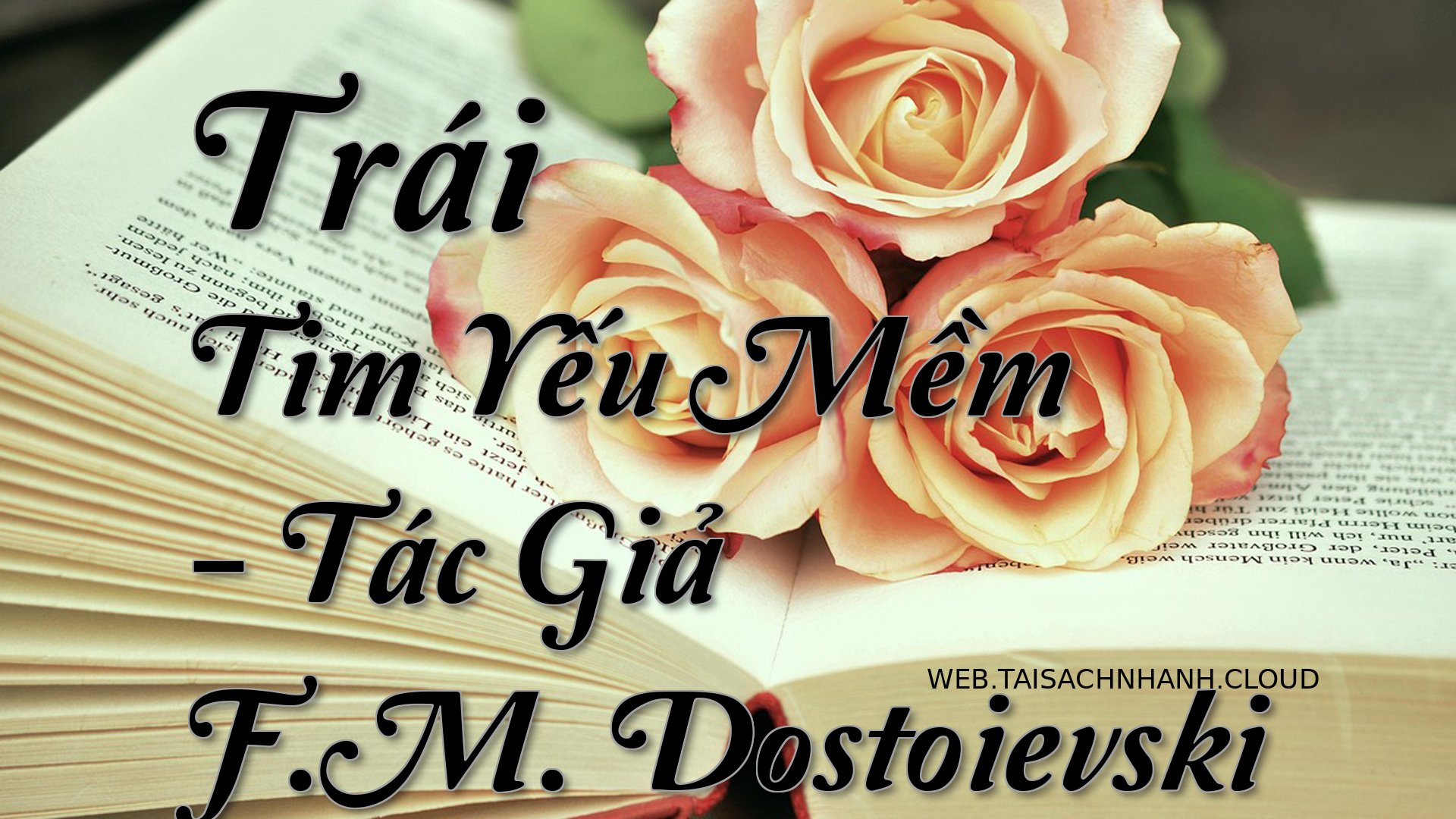 Cover Trai Tim Yeu Mem.jpg