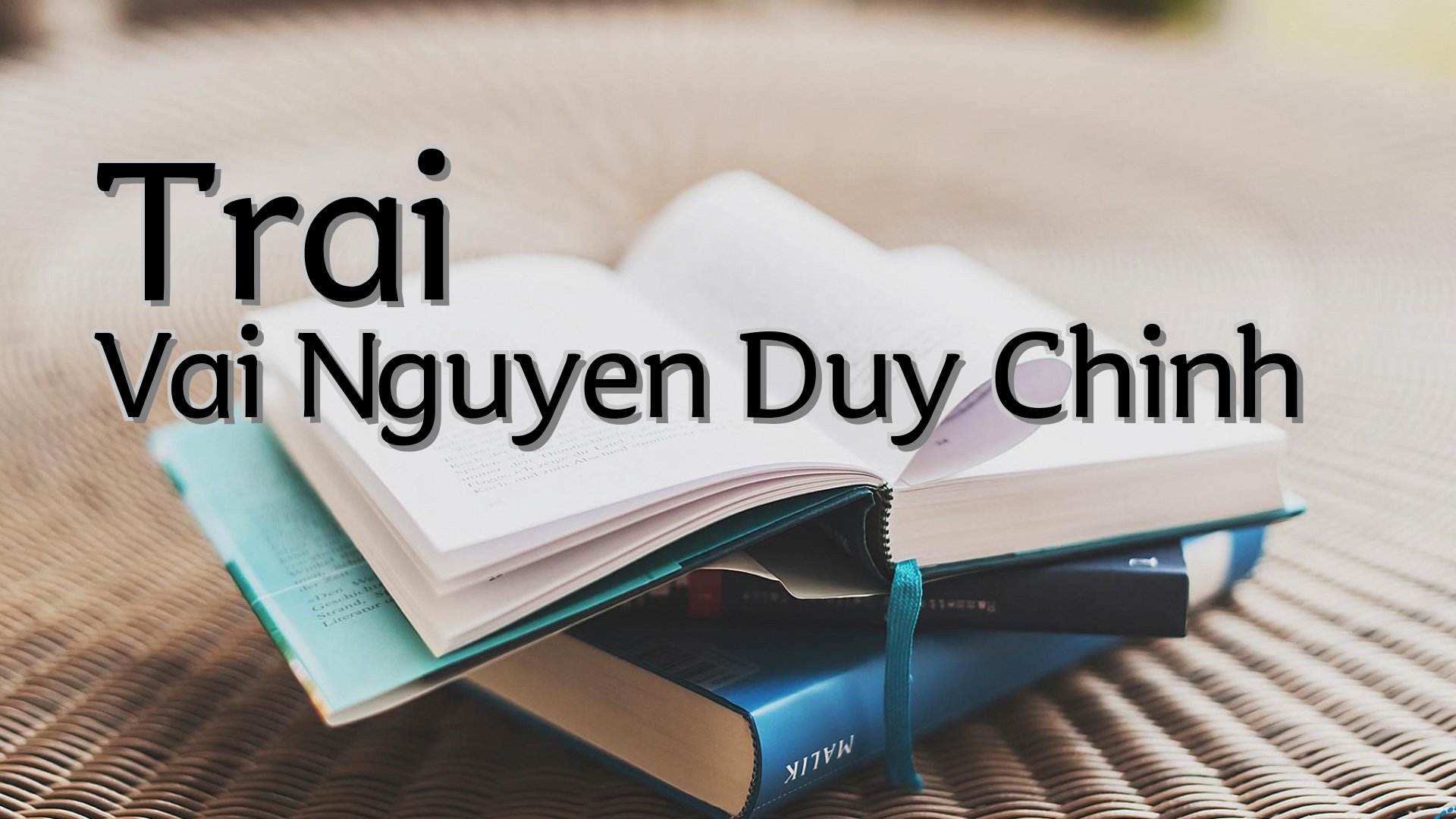 cover-Trai Vai Nguyen Duy Chinh