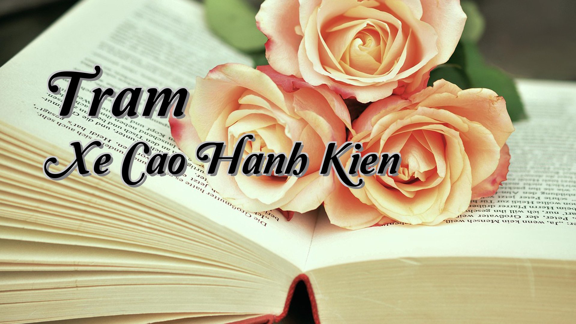 Cover image for Tram Xe Cao Hanh Kien