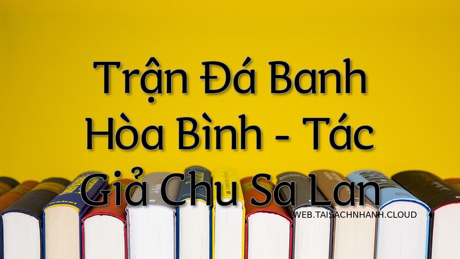 Cover Tran Da Banh Hoa Bin.jpg