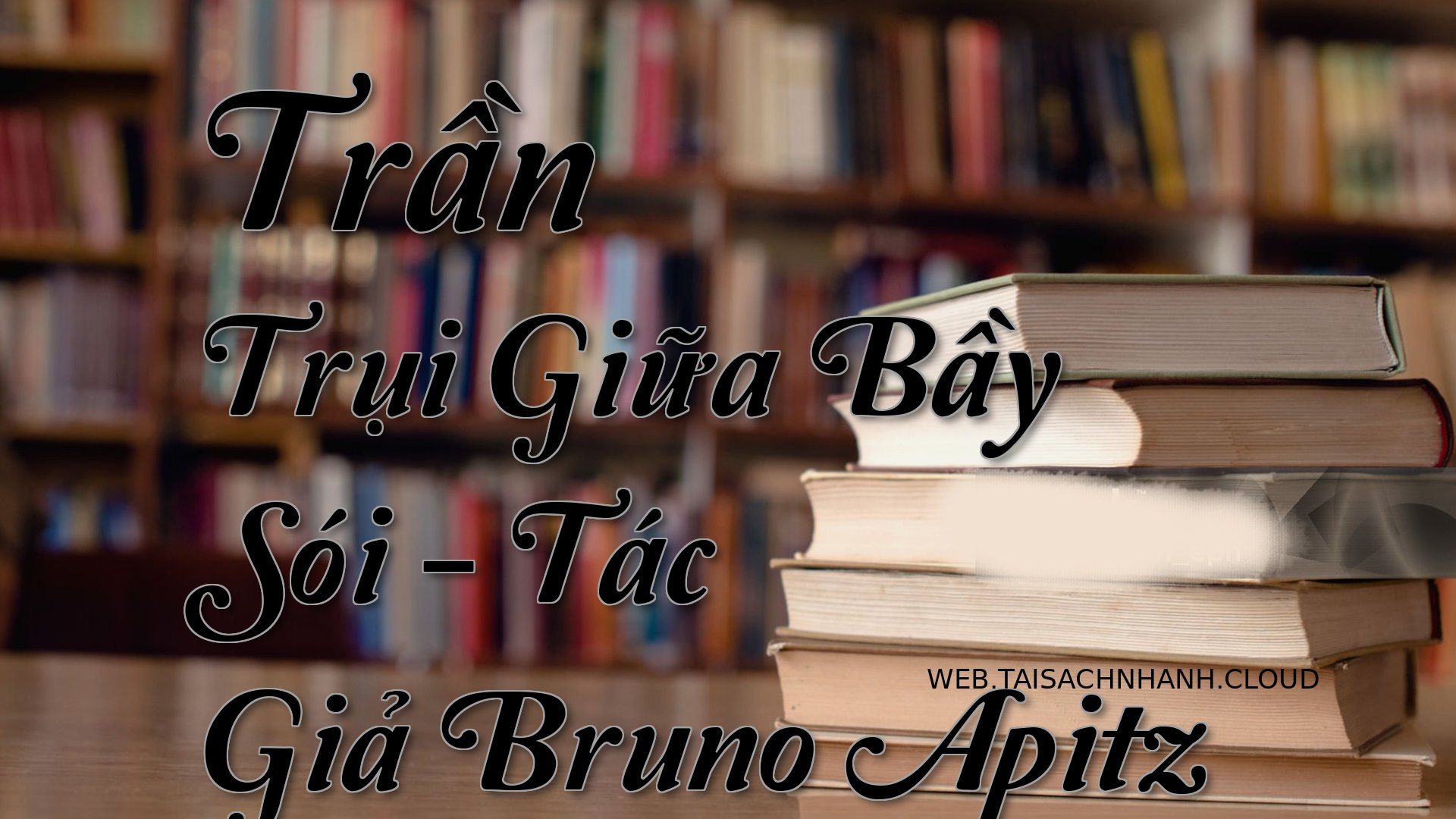 Cover Tran Trui Giua Bay S.jpg