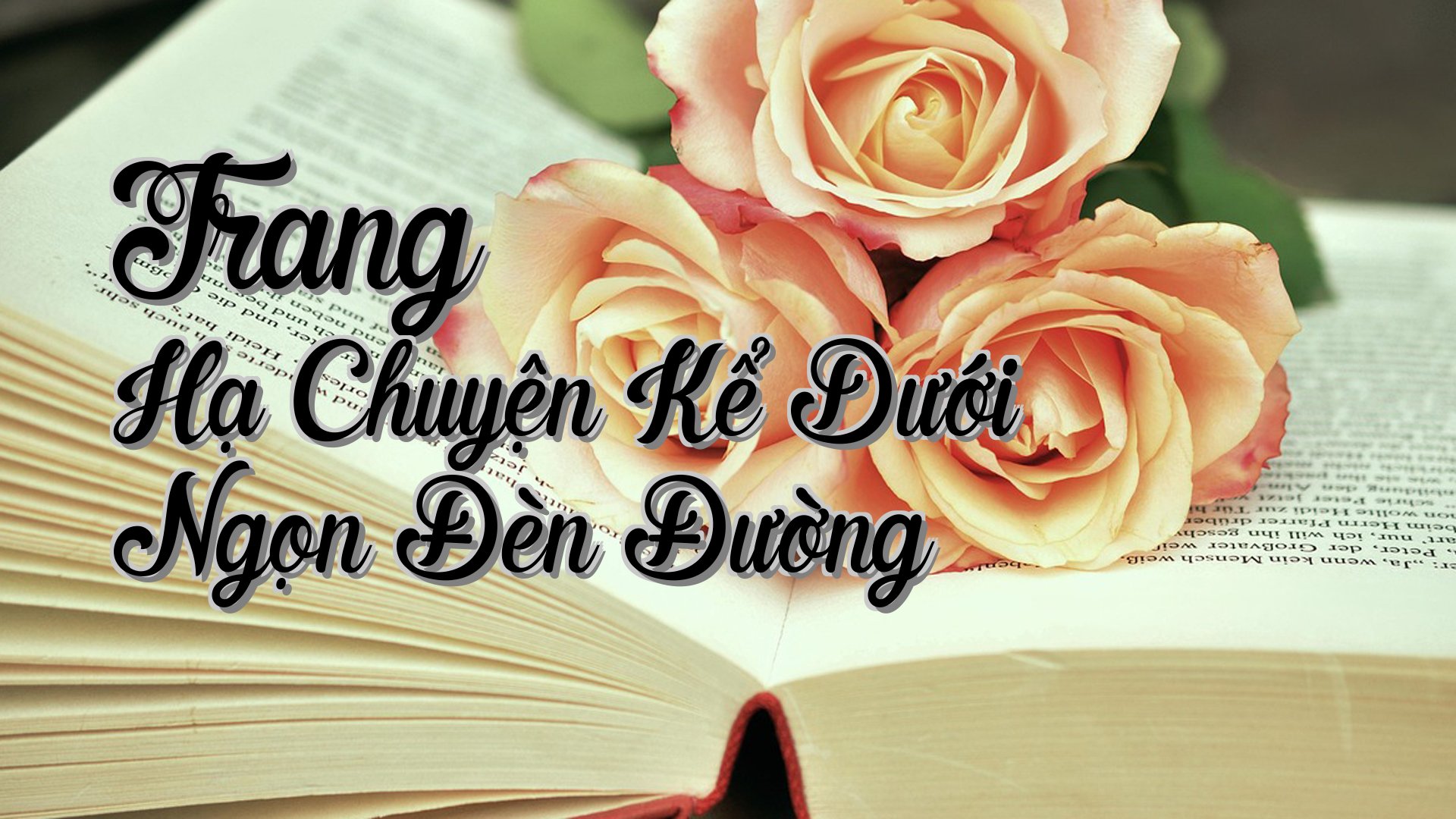 cover-Trang Hạ Chuyện Kể Dưới Ngọn Đèn Đường