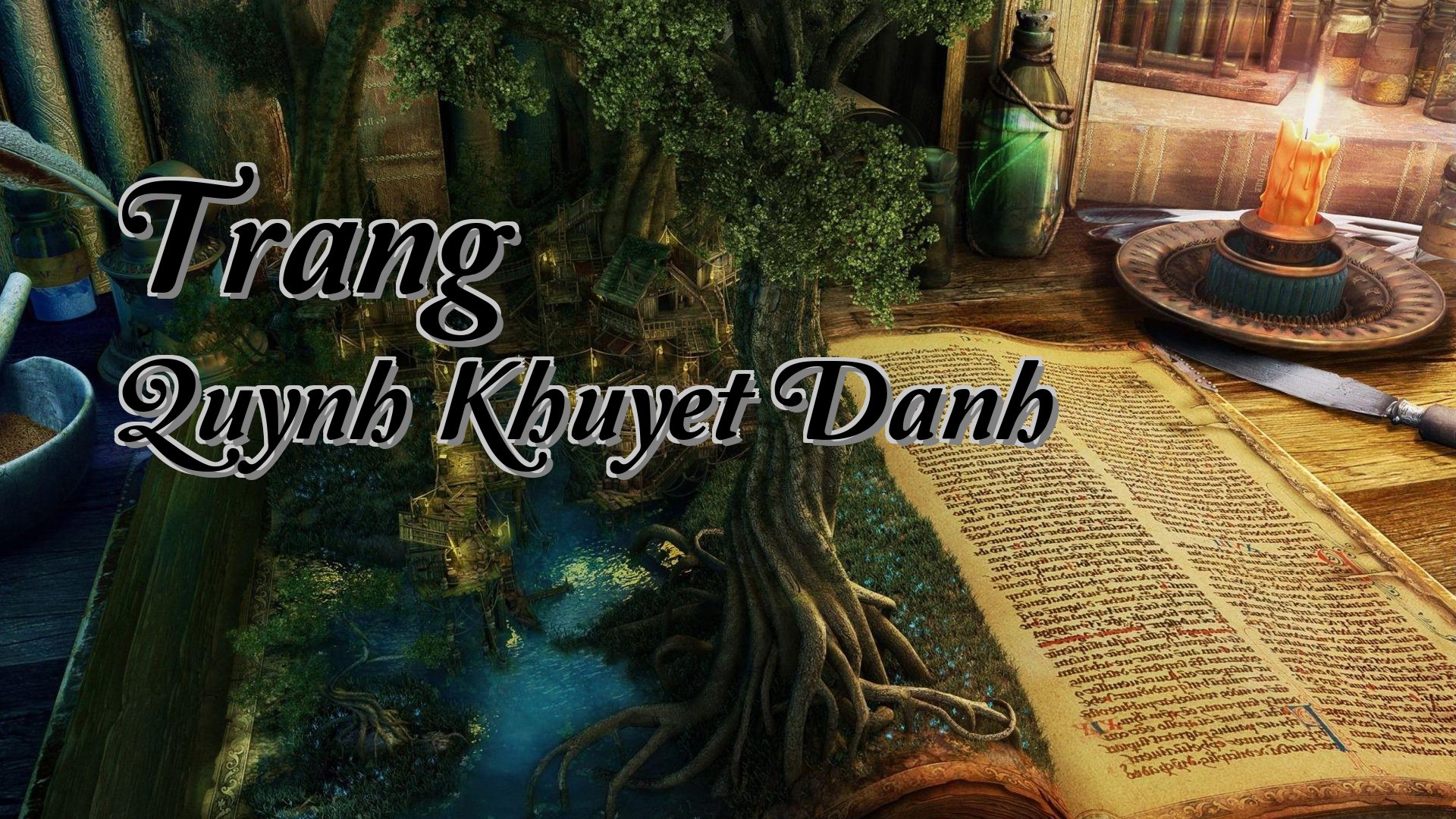 Cover image for Trang Quynh Khuyet Danh