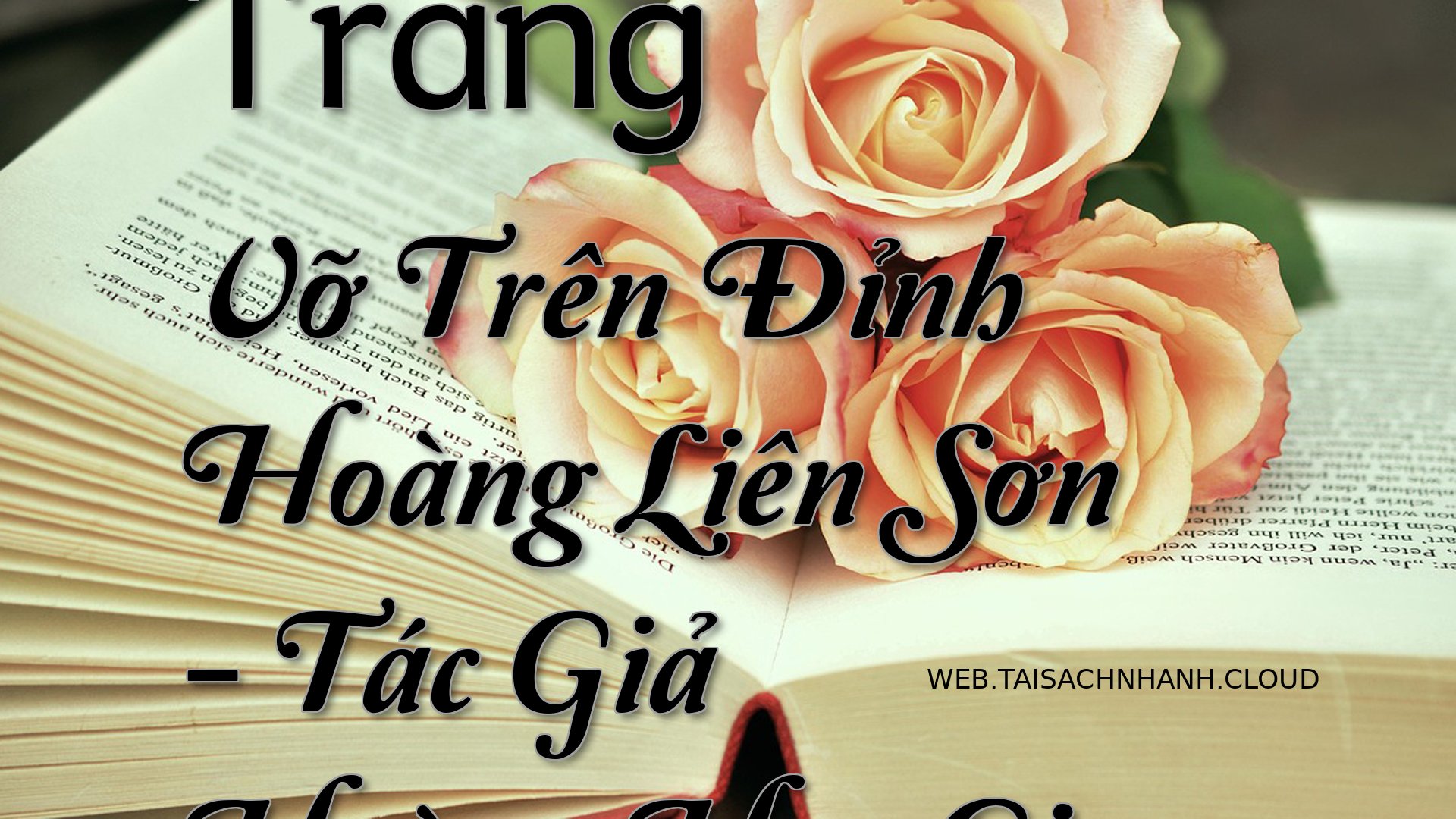 Cover Trang Vo Tren Dinh H.jpg