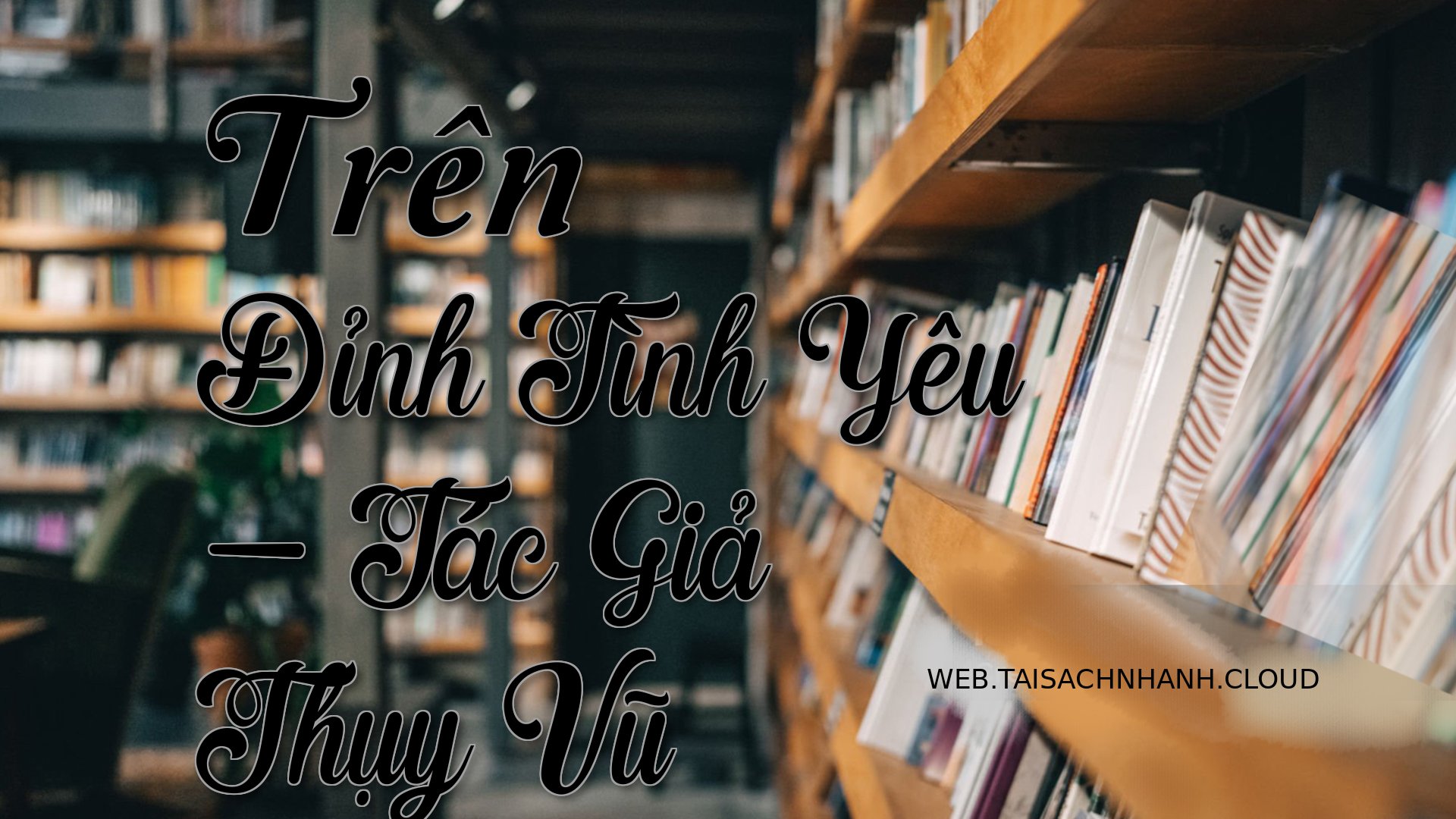 Cover Tren Dinh Tinh Yeu.jpg