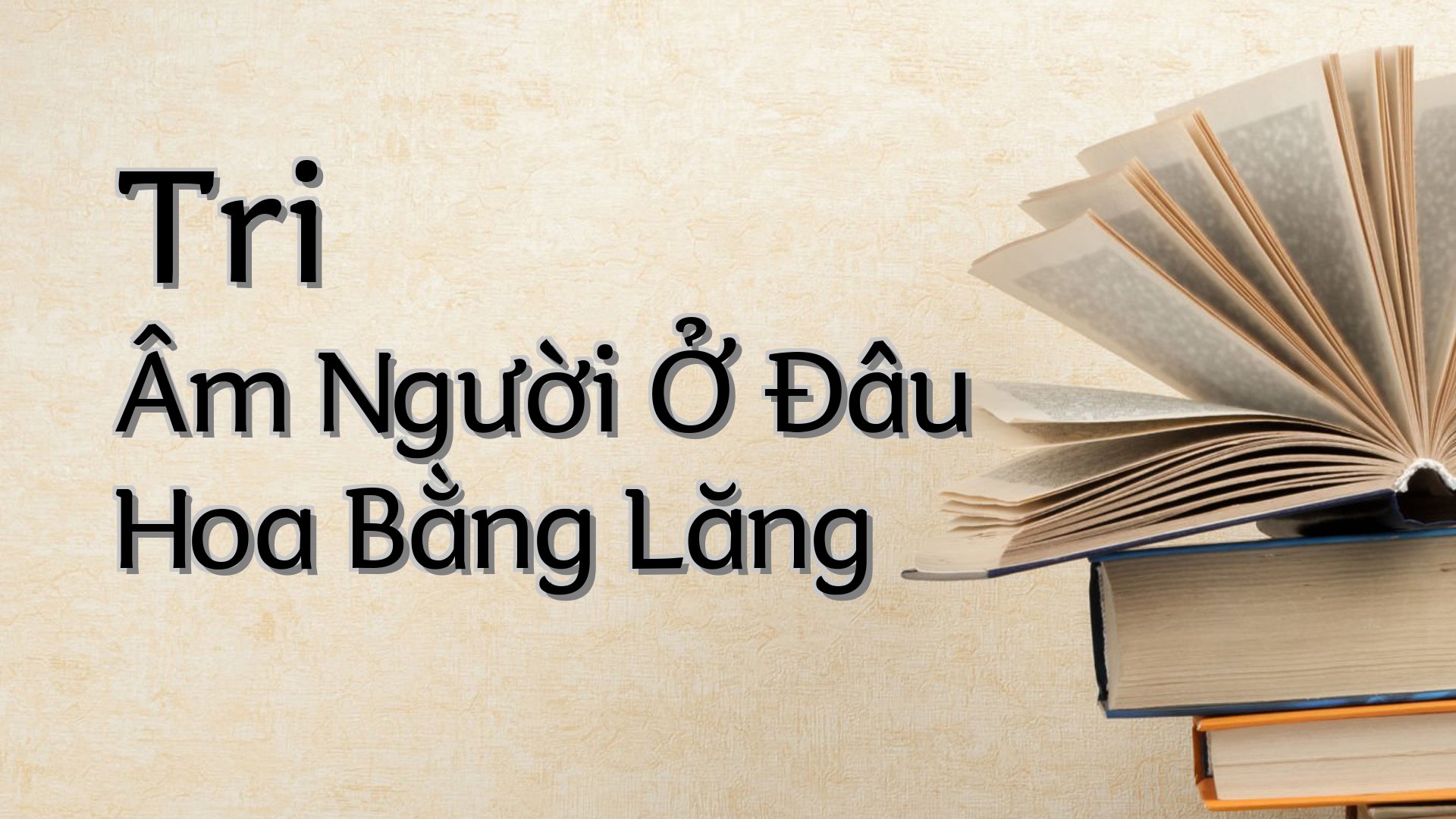 cover-Tri Âm Người Ở Đâu Hoa Bằng Lăng