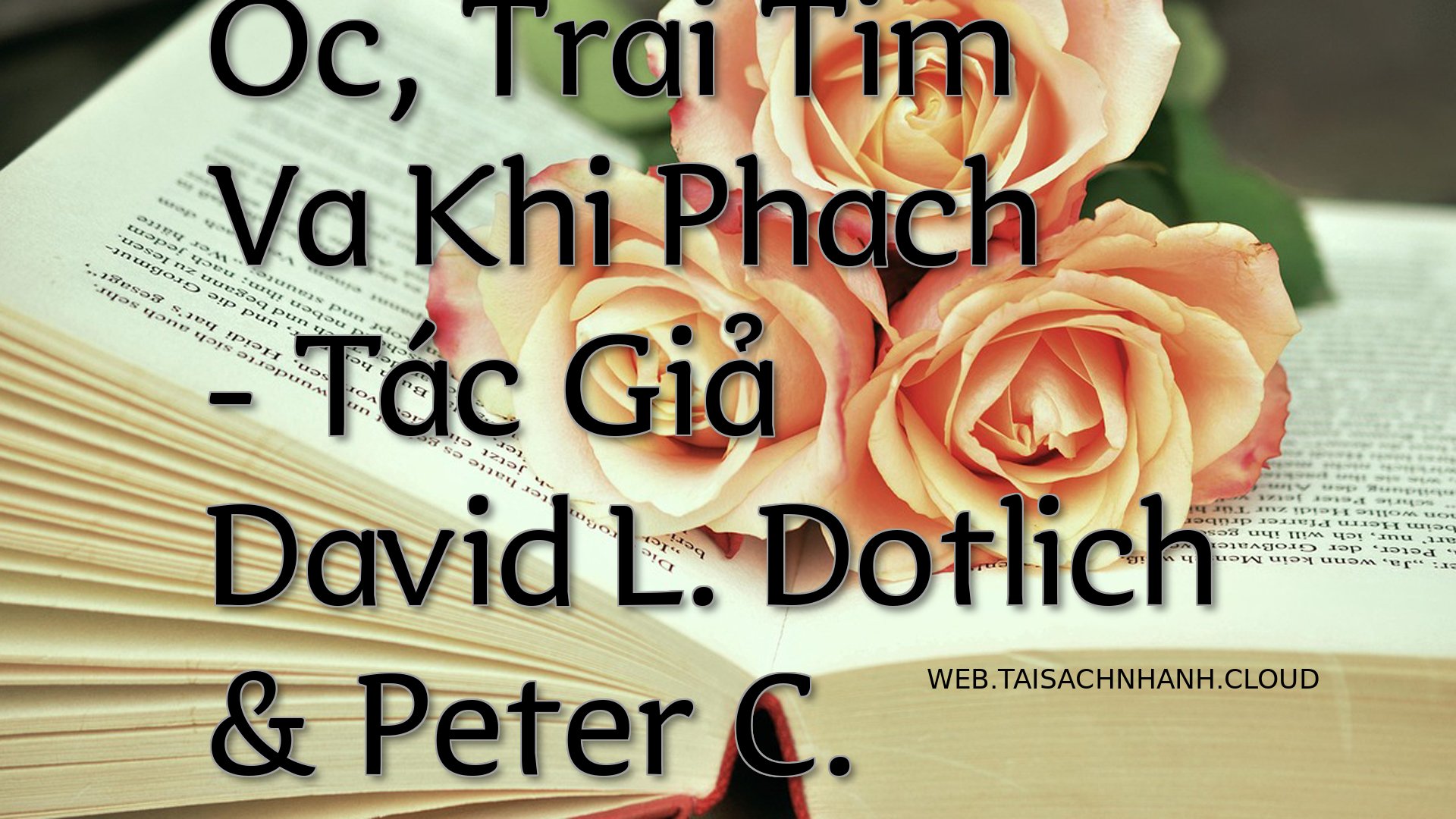 Cover Tri Oc Trai Tim Va.jpg