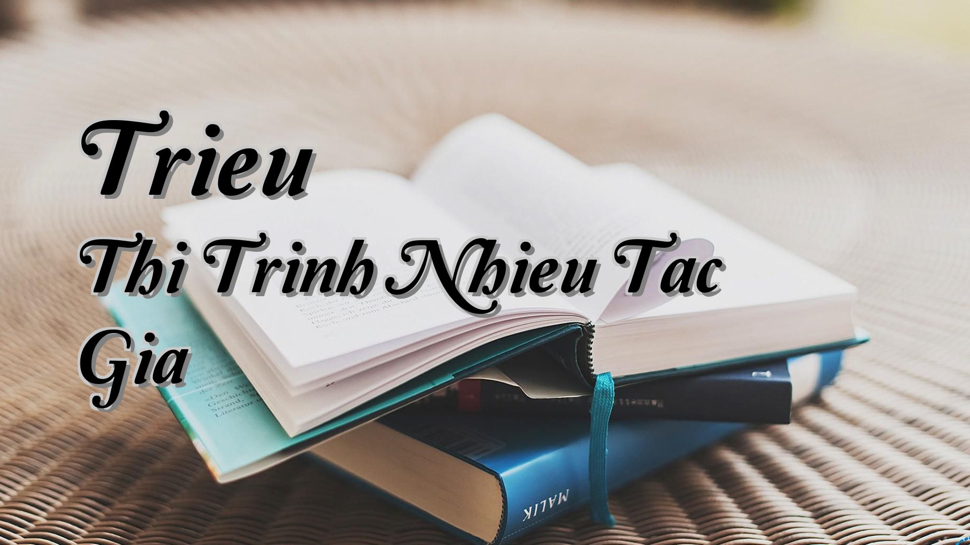 Cover image for Trieu Thi Trinh Nhieu Tac Gia