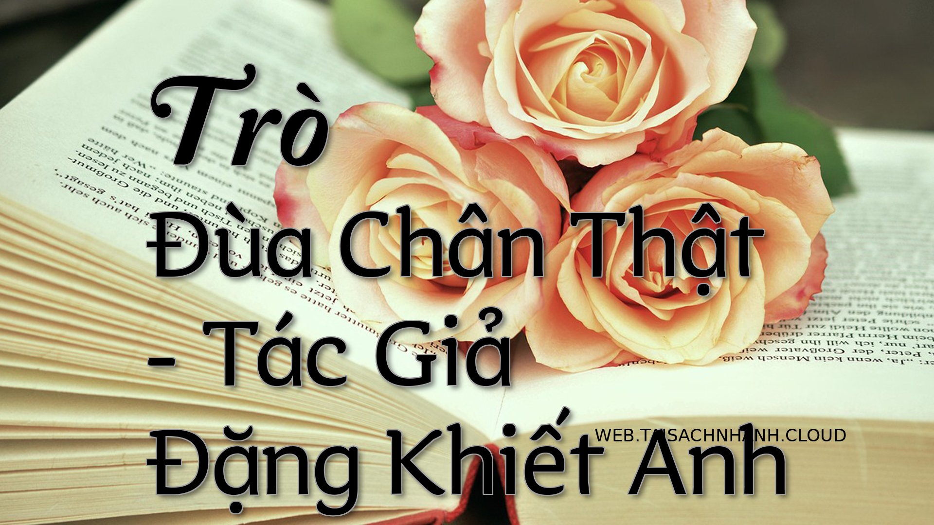 Cover Tro Dua Chan That.jpg