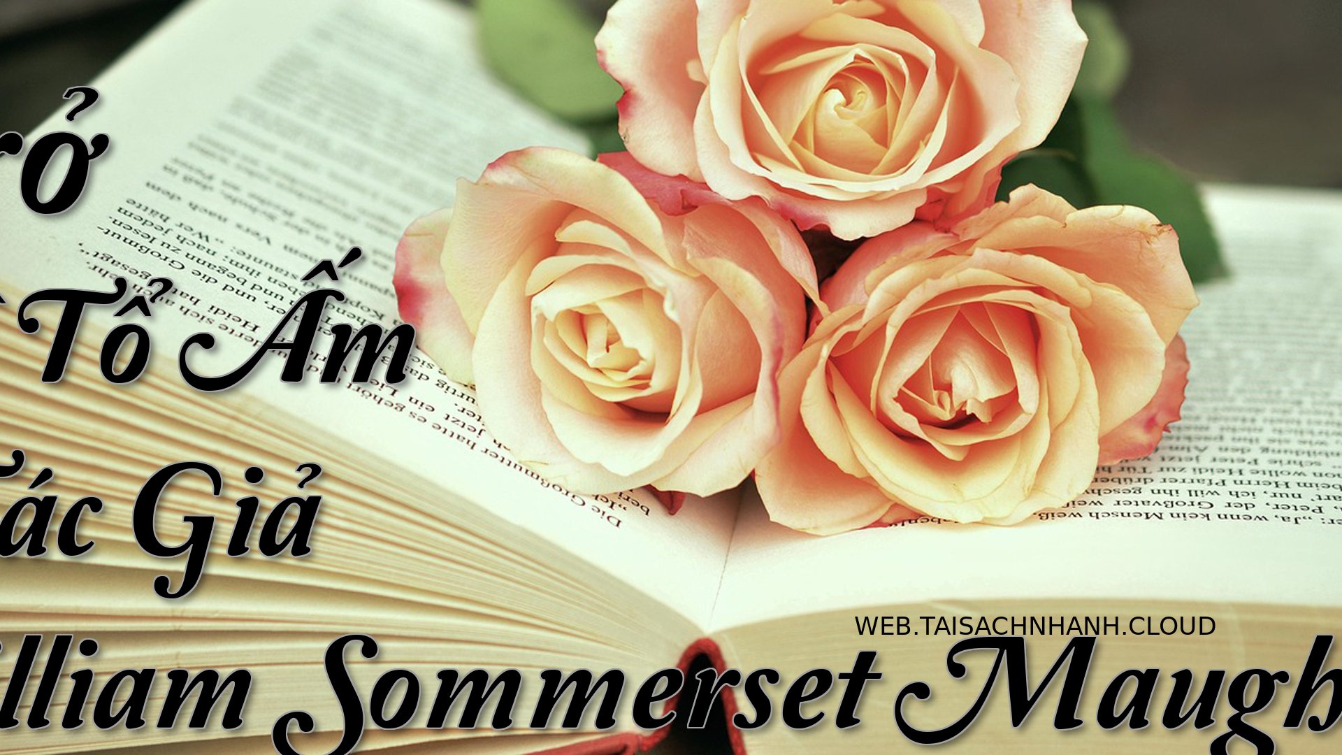 Cover Tro Ve To Am.jpg