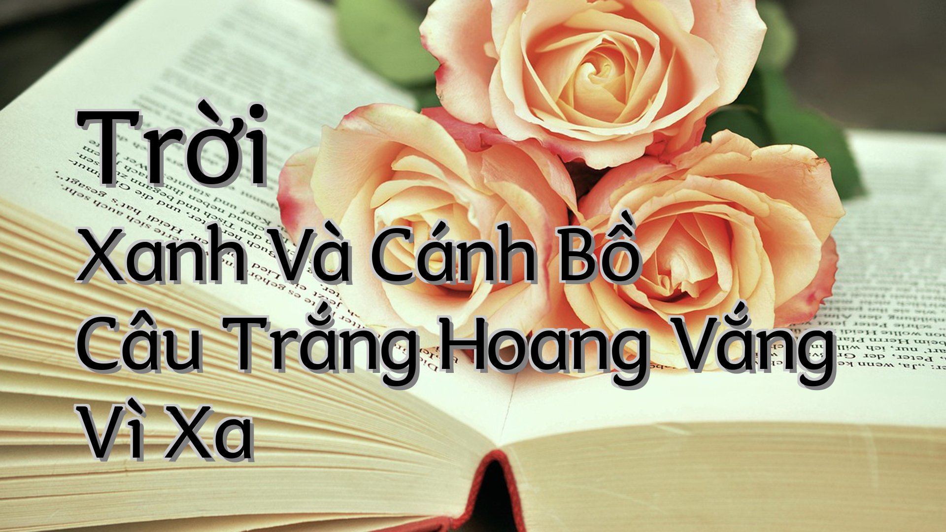 cover-Trời Xanh Và Cánh Bồ Câu Trắng Hoang Vắng Vì Xa