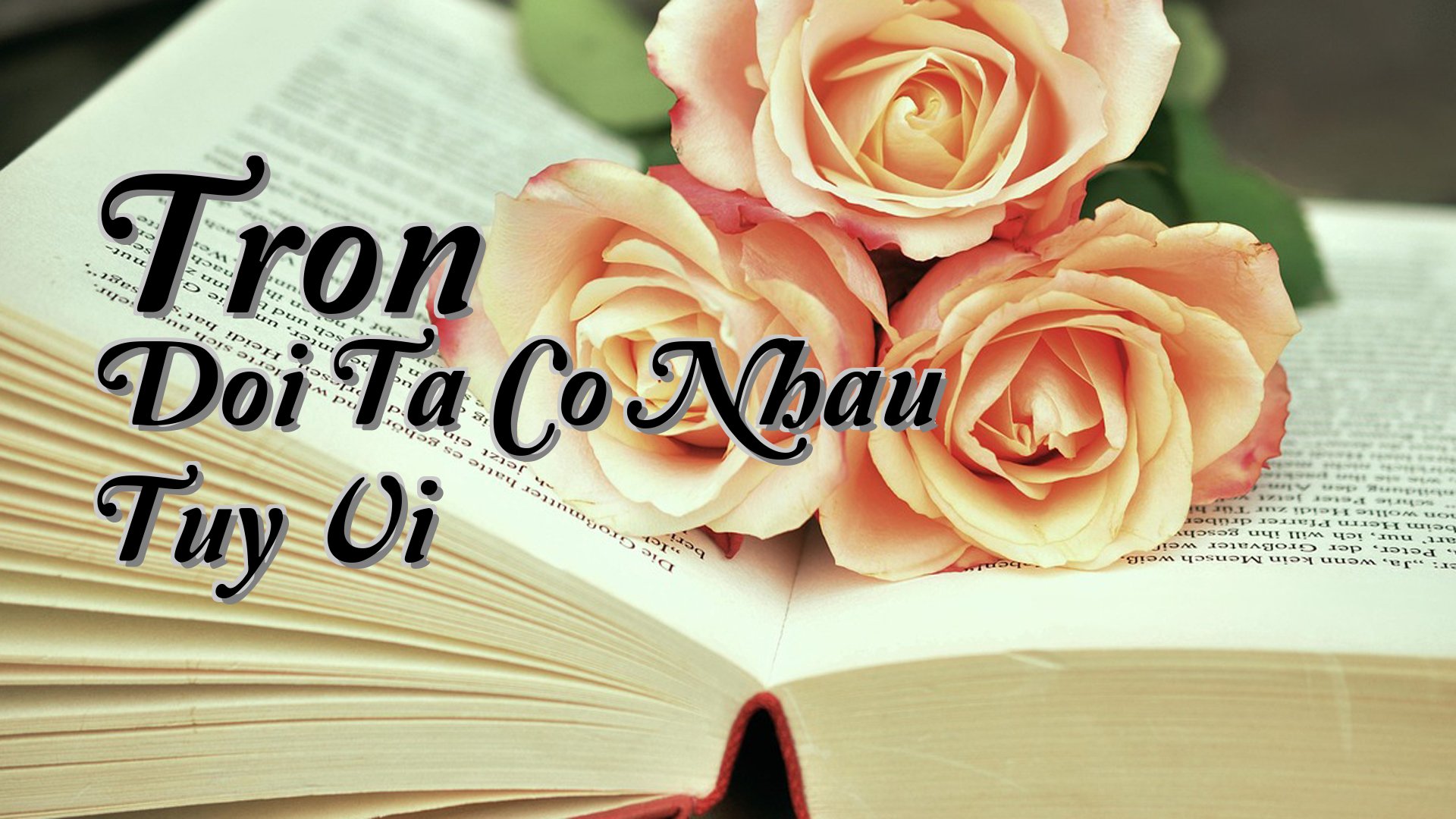 cover-Tron Doi Ta Co Nhau Tuy Vi