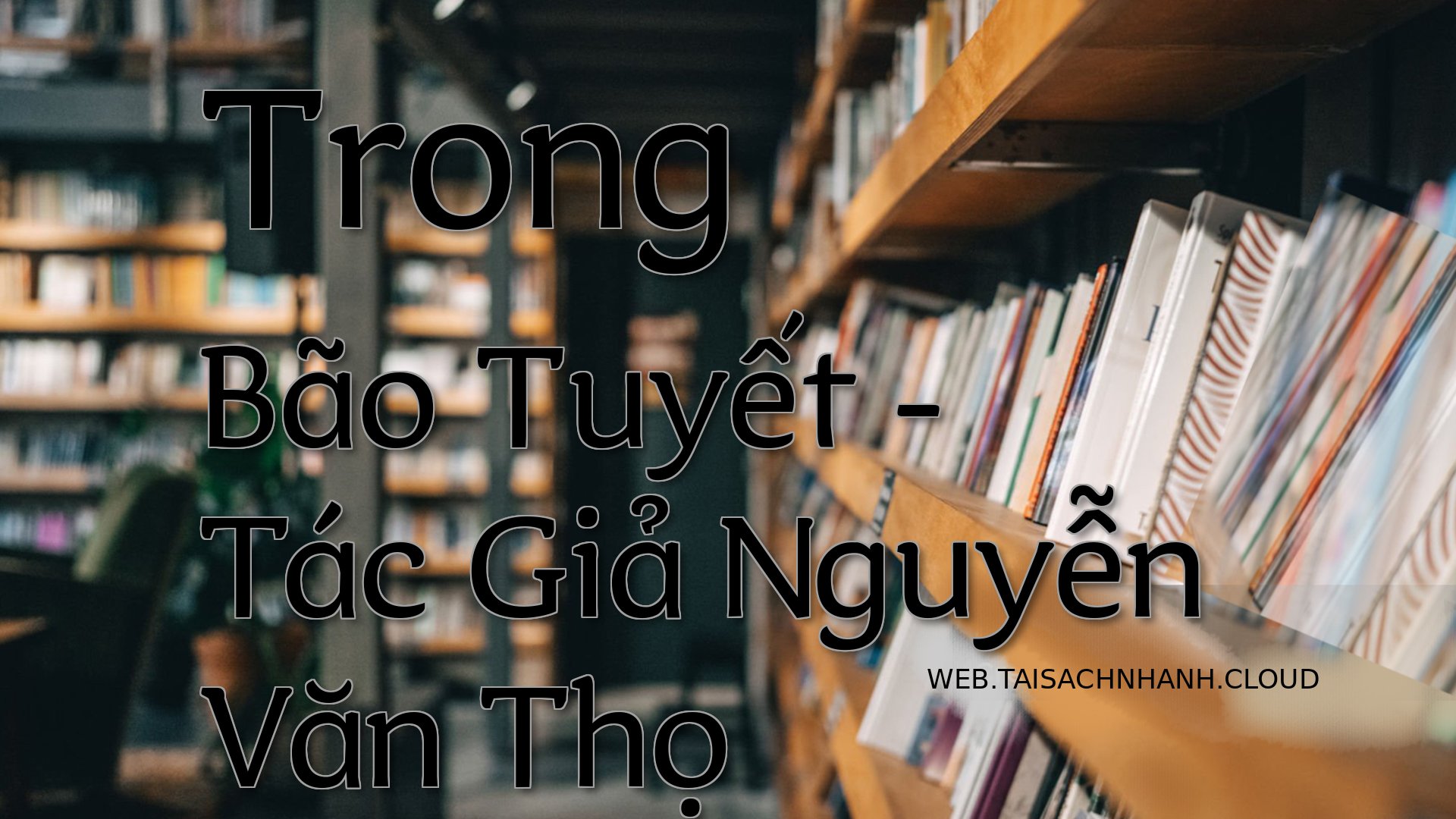 Cover Trong Bao Tuyet.jpg