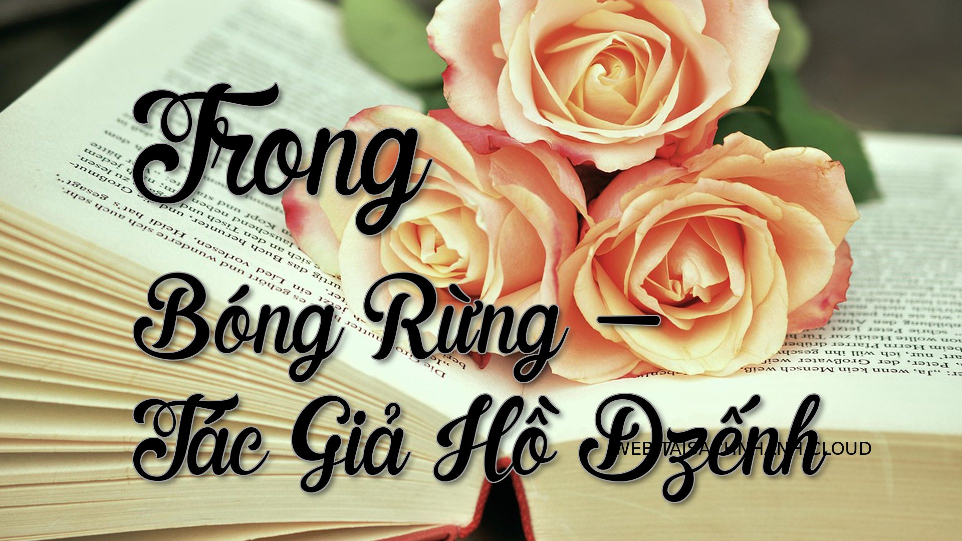 Cover Trong Bong Rung.jpg