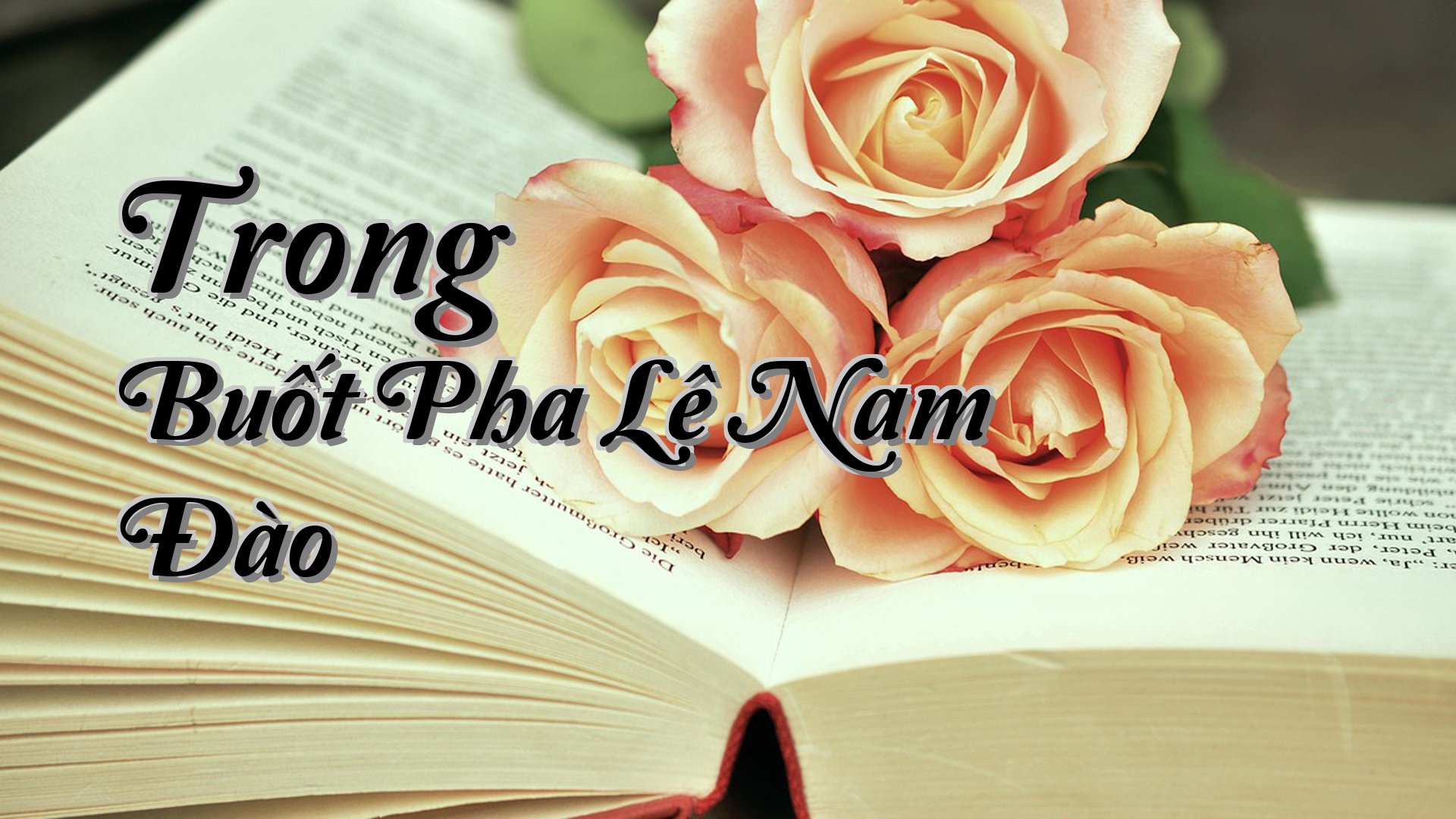 cover-Trong Buốt Pha Lê Nam Đào