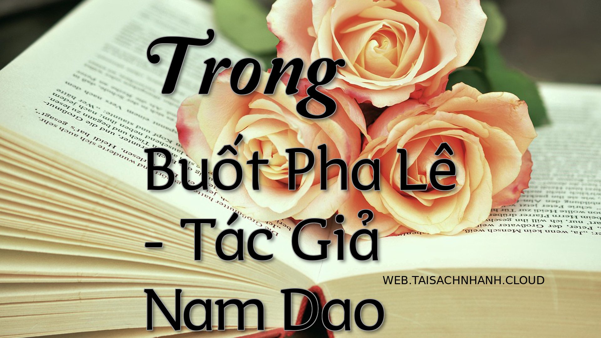 Cover Trong Buot Pha Le.jpg