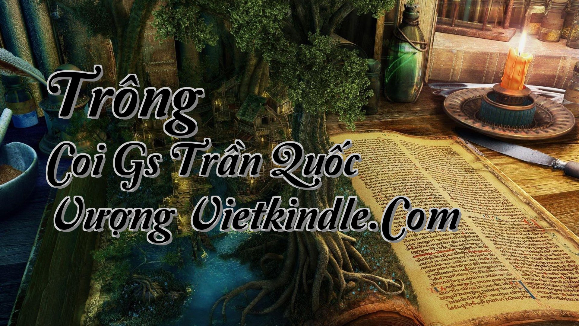 cover-Trông Coi Gs Trần Quốc Vượng Vietkindle.Com