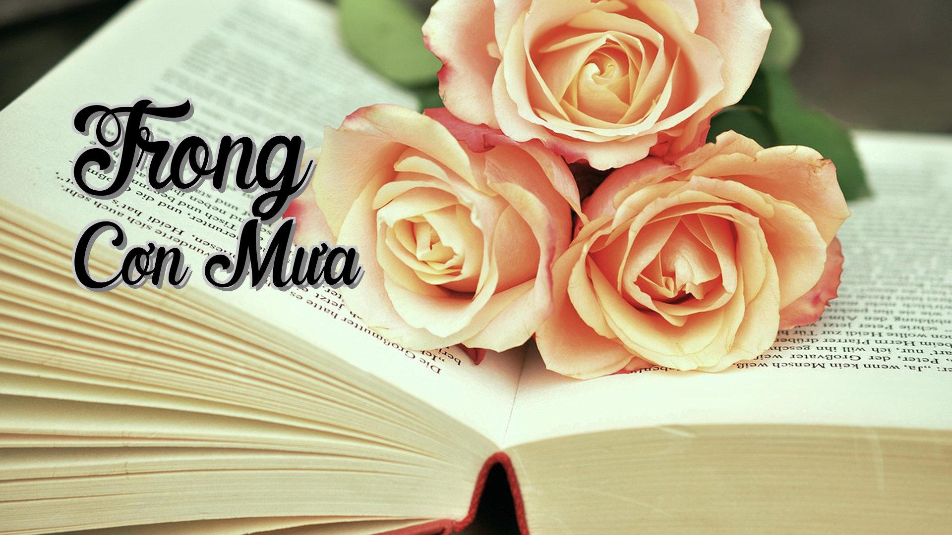 cover-Trong Cơn Mưa