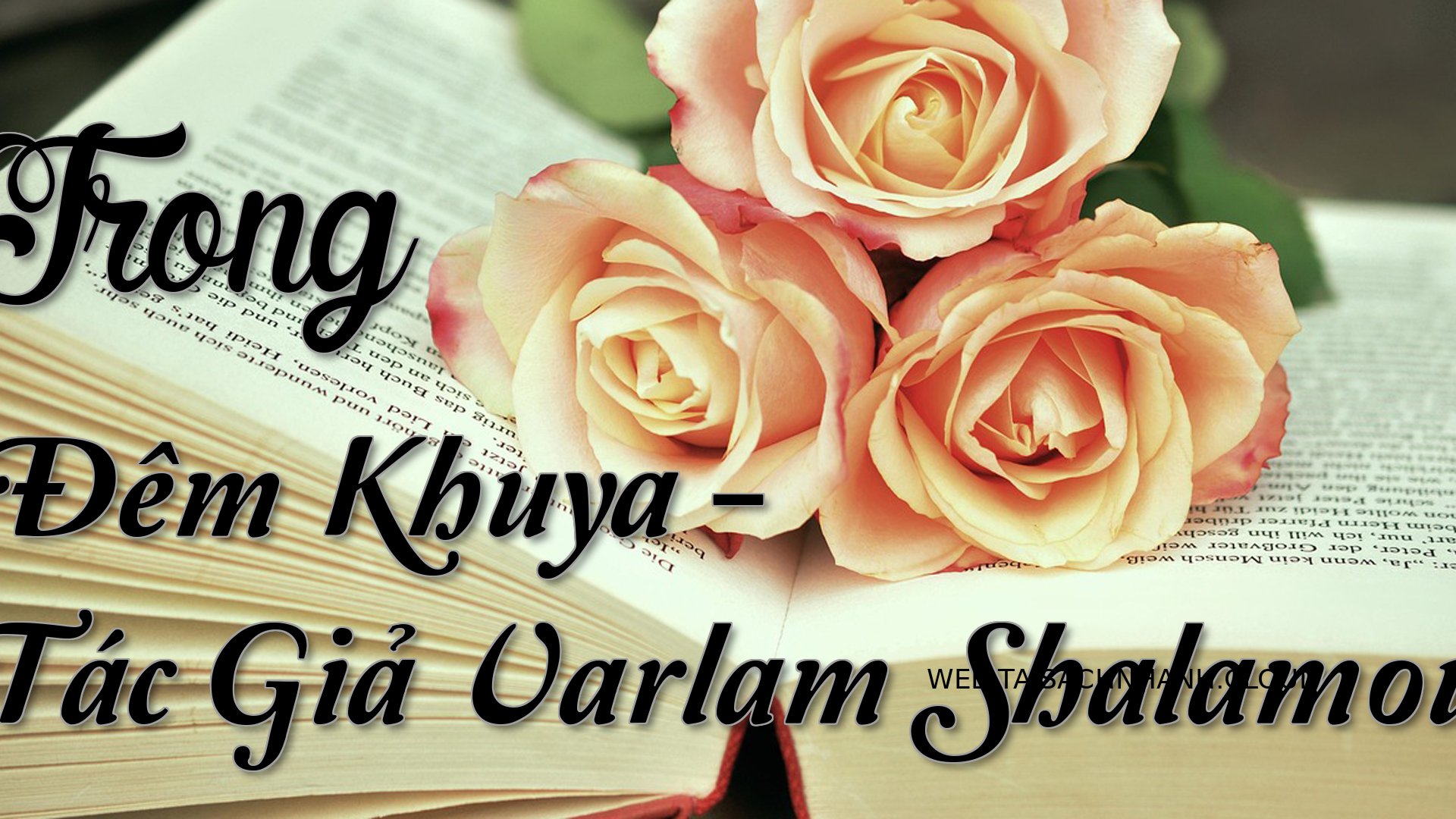 Cover Trong Dem Khuya.jpg