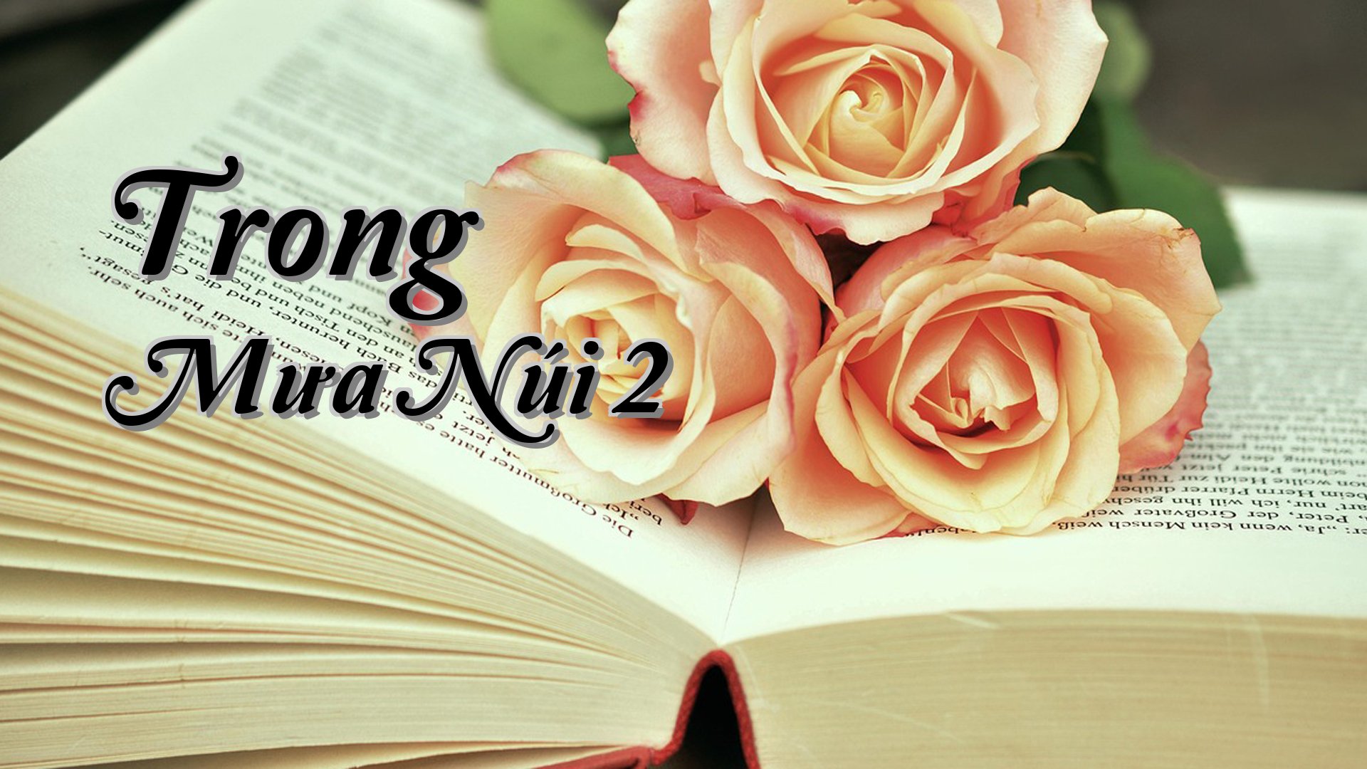 cover-Trong Mưa Núi 2