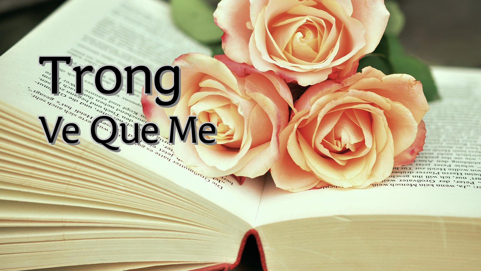 cover-Trong Ve Que Me