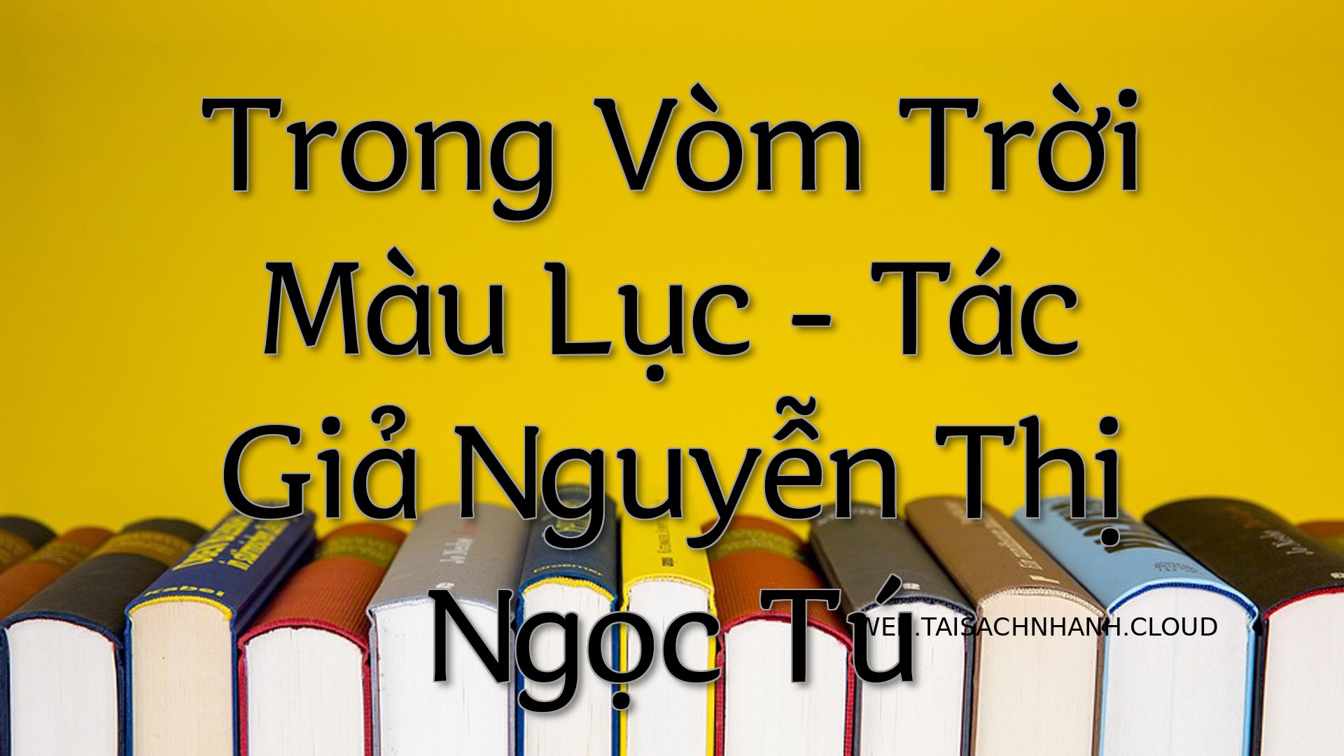 Cover Trong Vom Troi Mau L.jpg