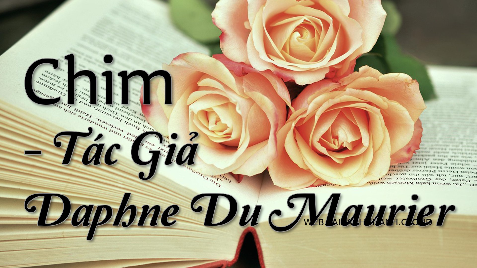 Cover Trung Chim Cuc Cu Na.jpg