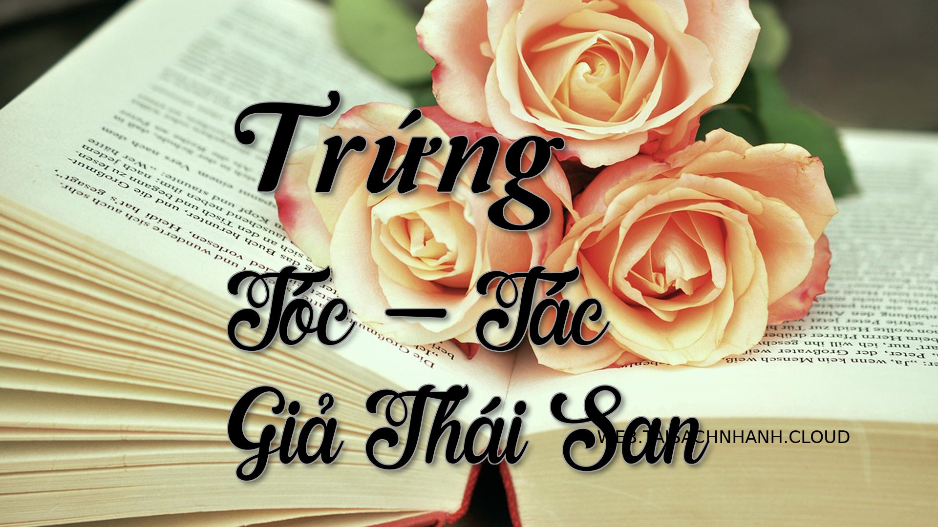Cover Trung Toc.jpg