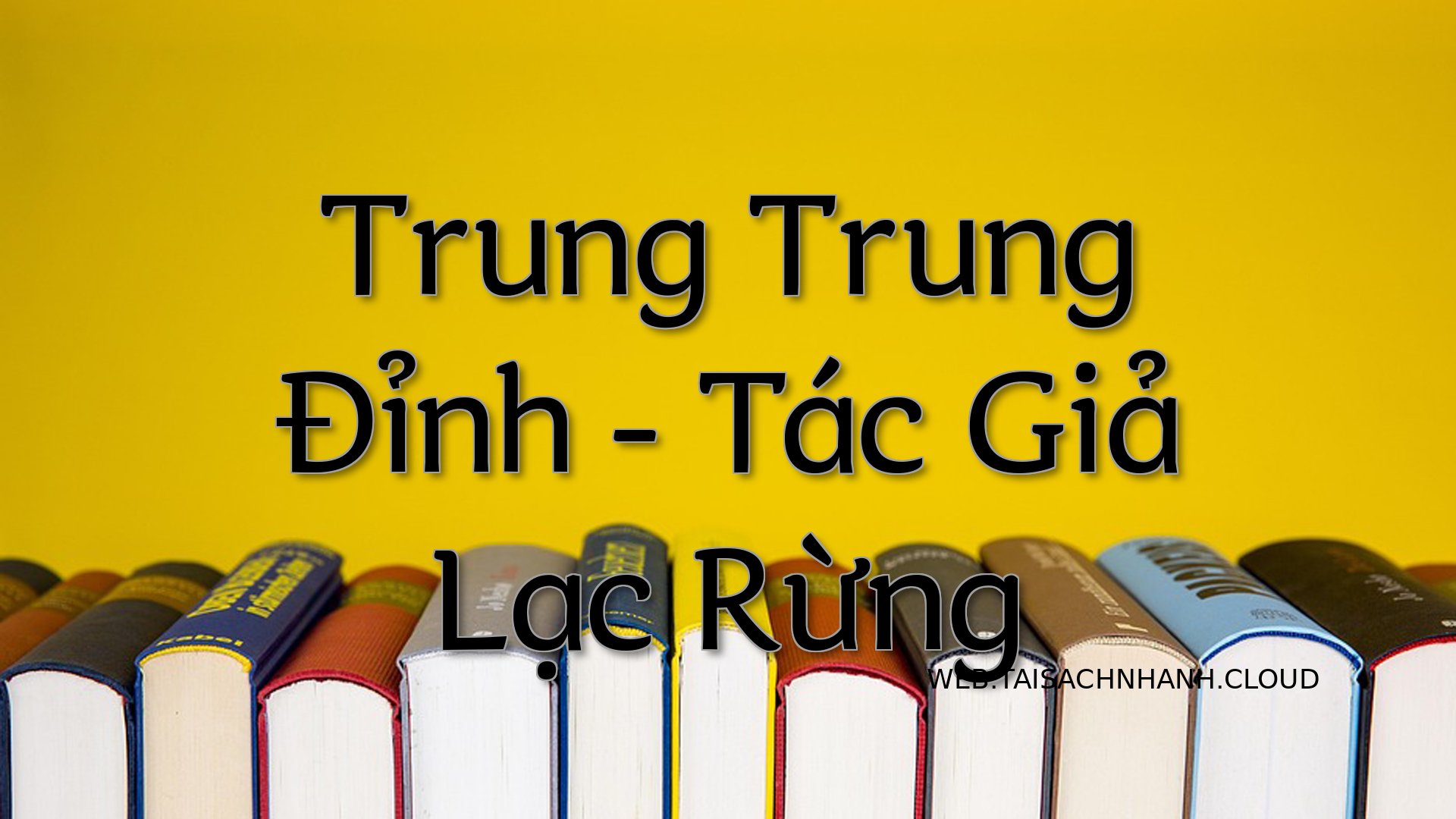 Cover Trung Trung Dinh.jpg