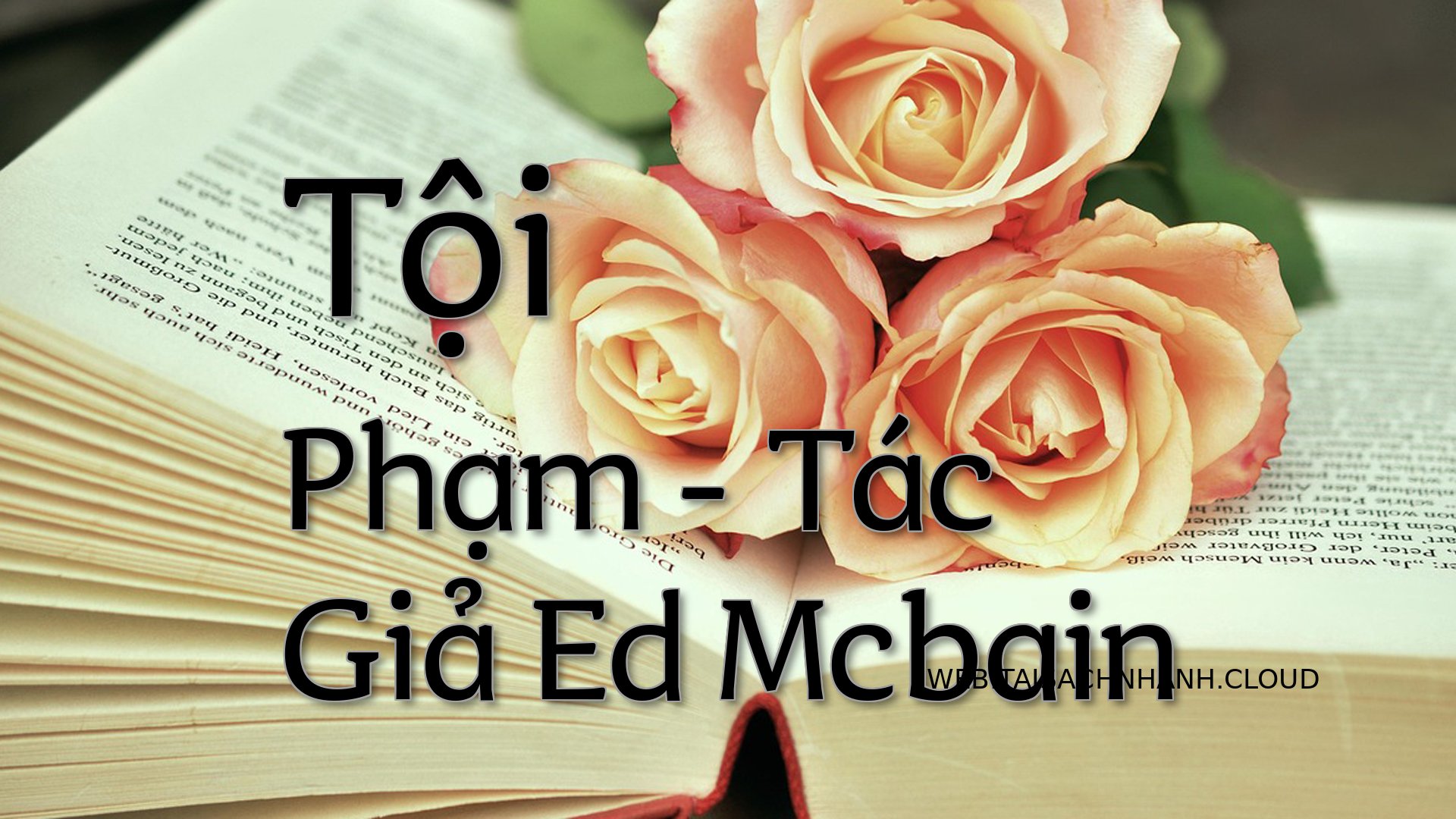 Cover Truy Tim Toi Pham.jpg