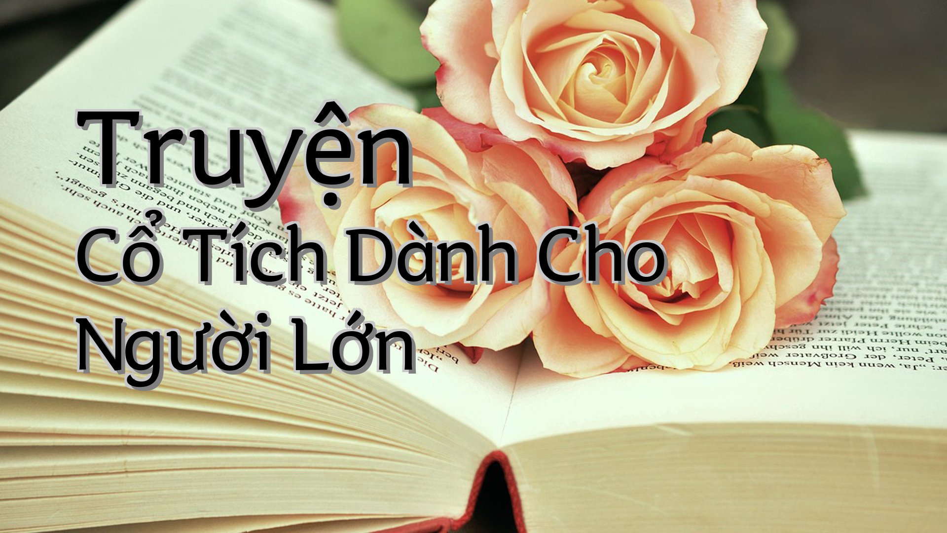 cover-Truyện Cổ Tích Dành Cho Người Lớn