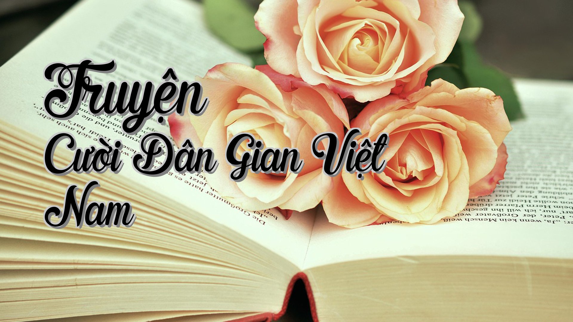 cover-Truyện Cười Dân Gian Việt Nam