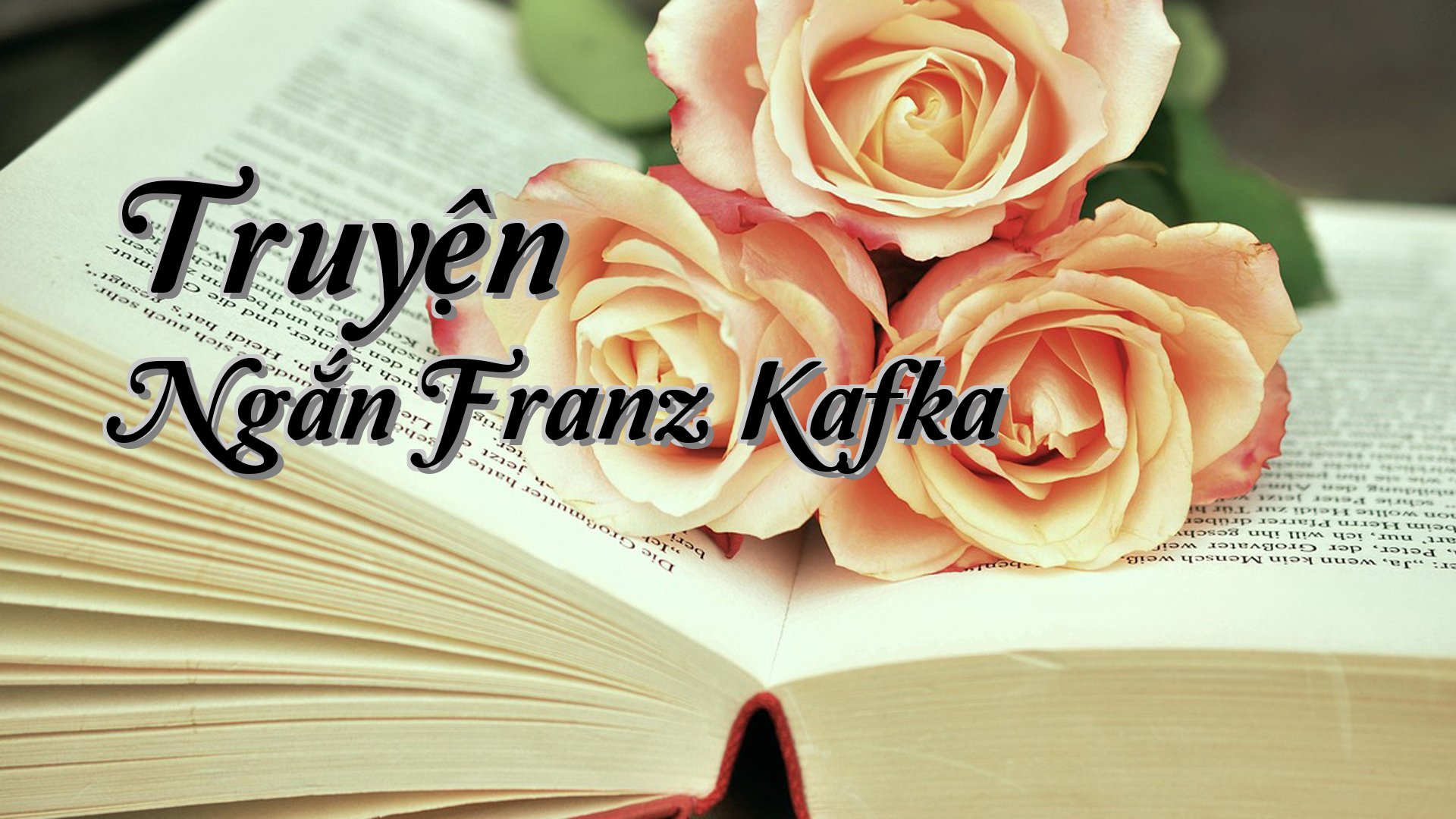 cover-Truyện Ngắn Franz Kafka