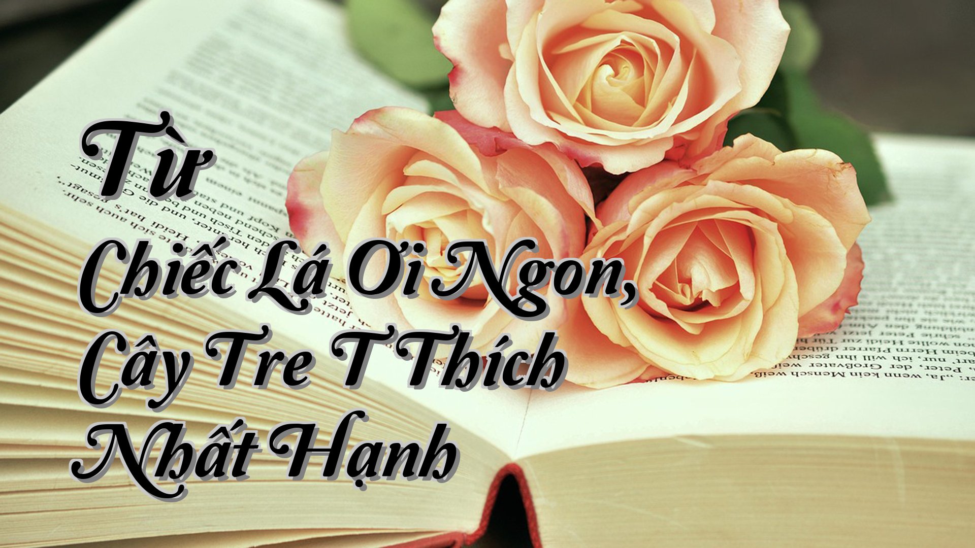 cover-Từ Chiếc Lá Ơi Ngon, Cây Tre T Thích Nhất Hạnh