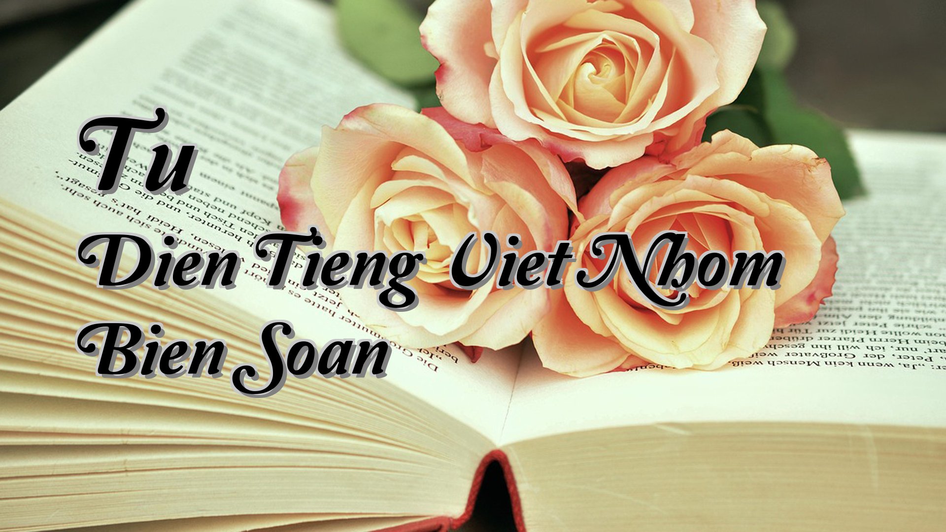 Cover image for Tu Dien Tieng Viet Nhom Bien Soan