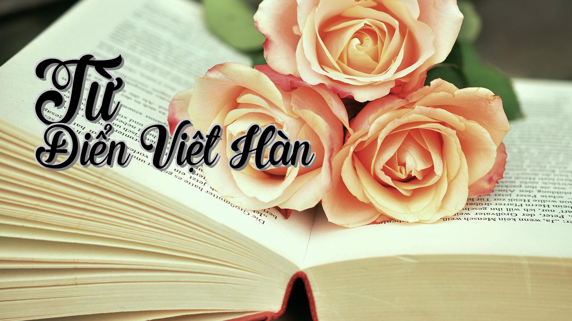 cover-Từ Điển Việt Hàn