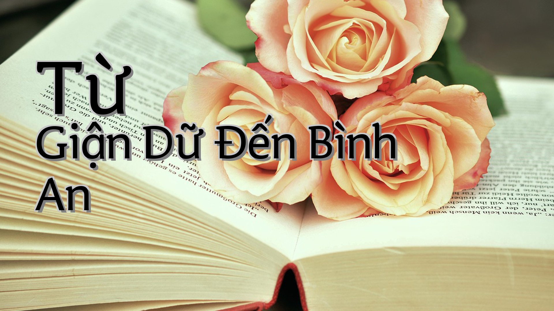 cover-Từ Giận Dữ Đến Bình An