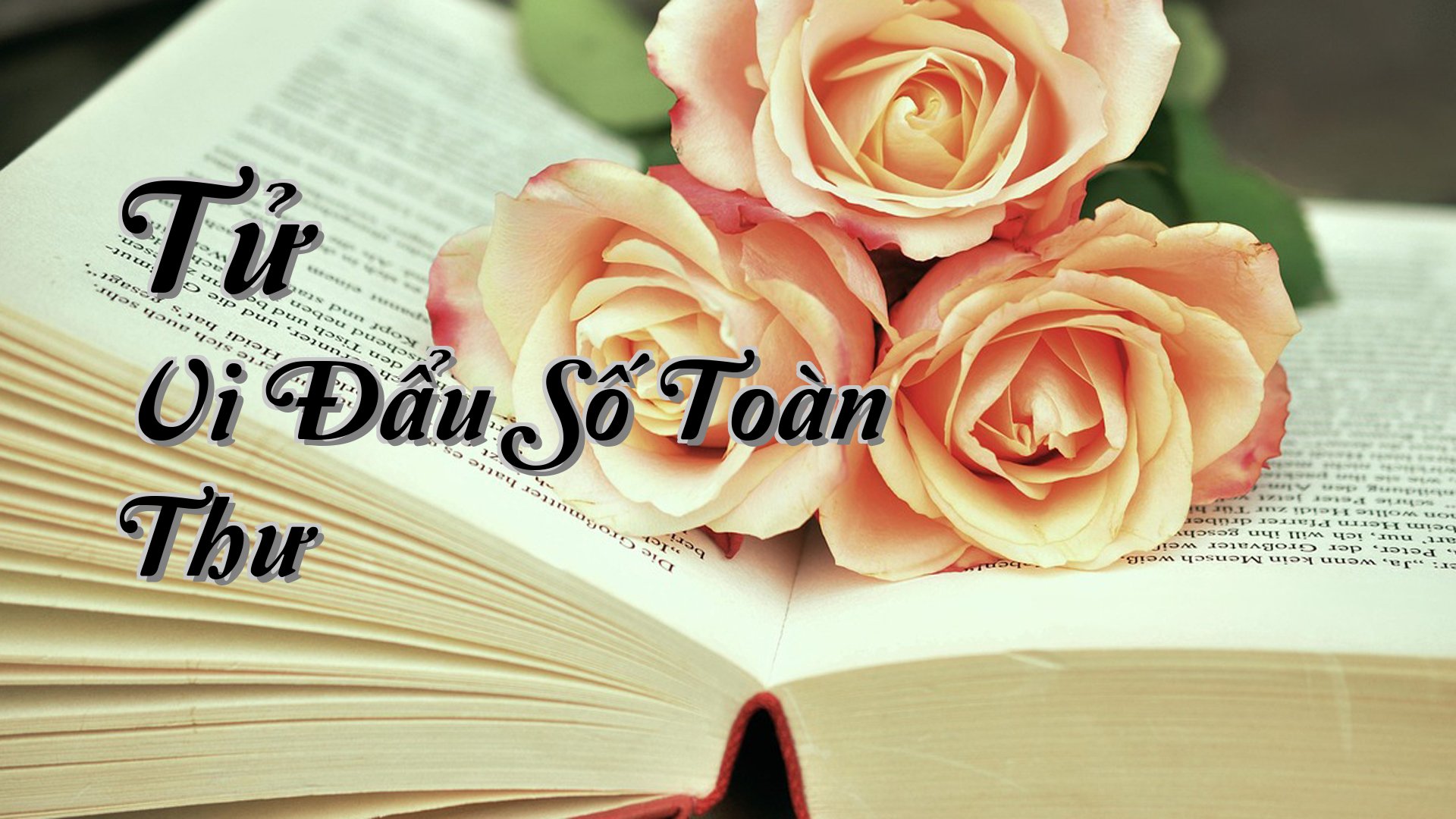 cover-Tử Vi Đẩu Số Toàn Thư