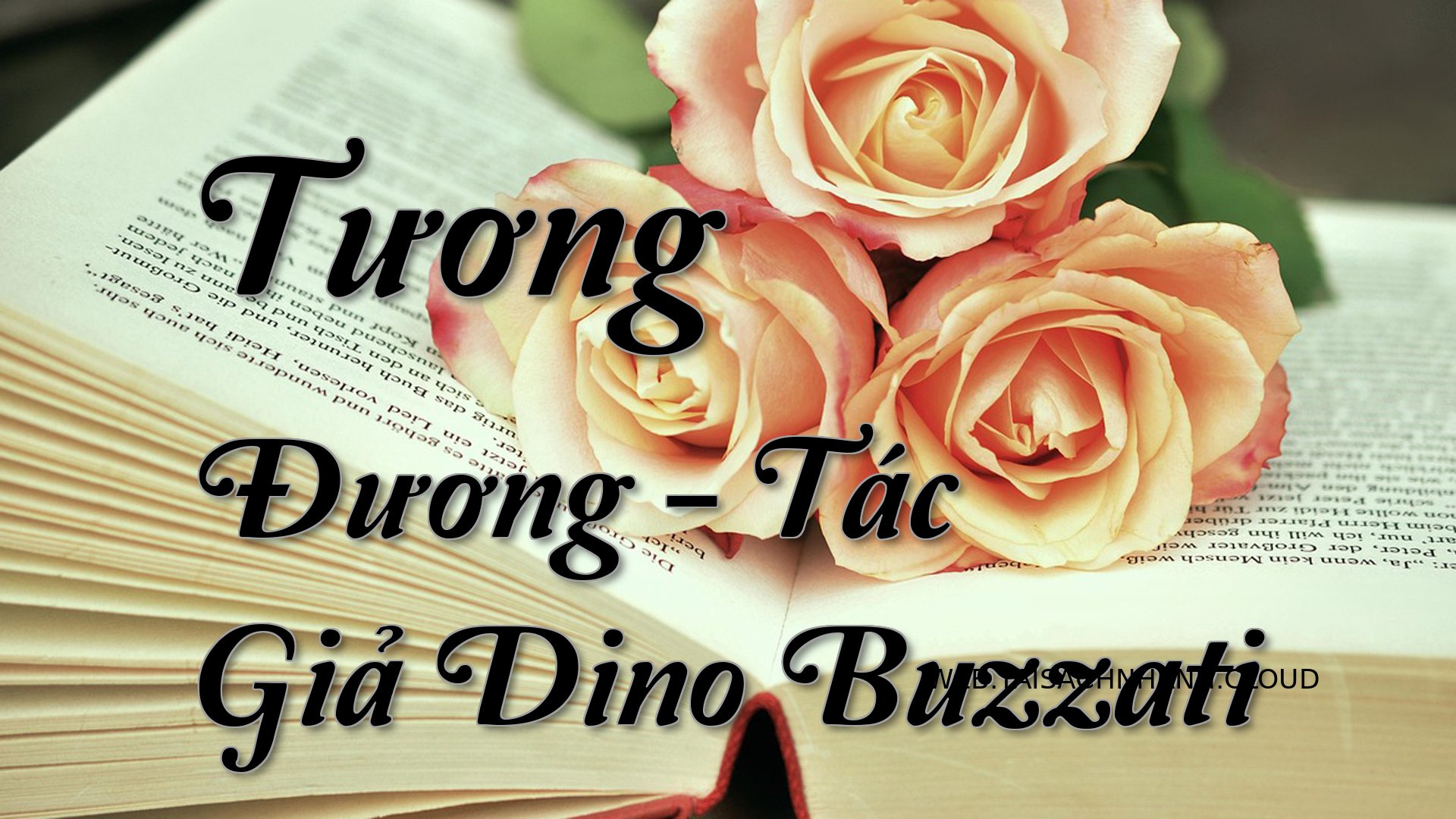 Cover Tuong Duong.jpg