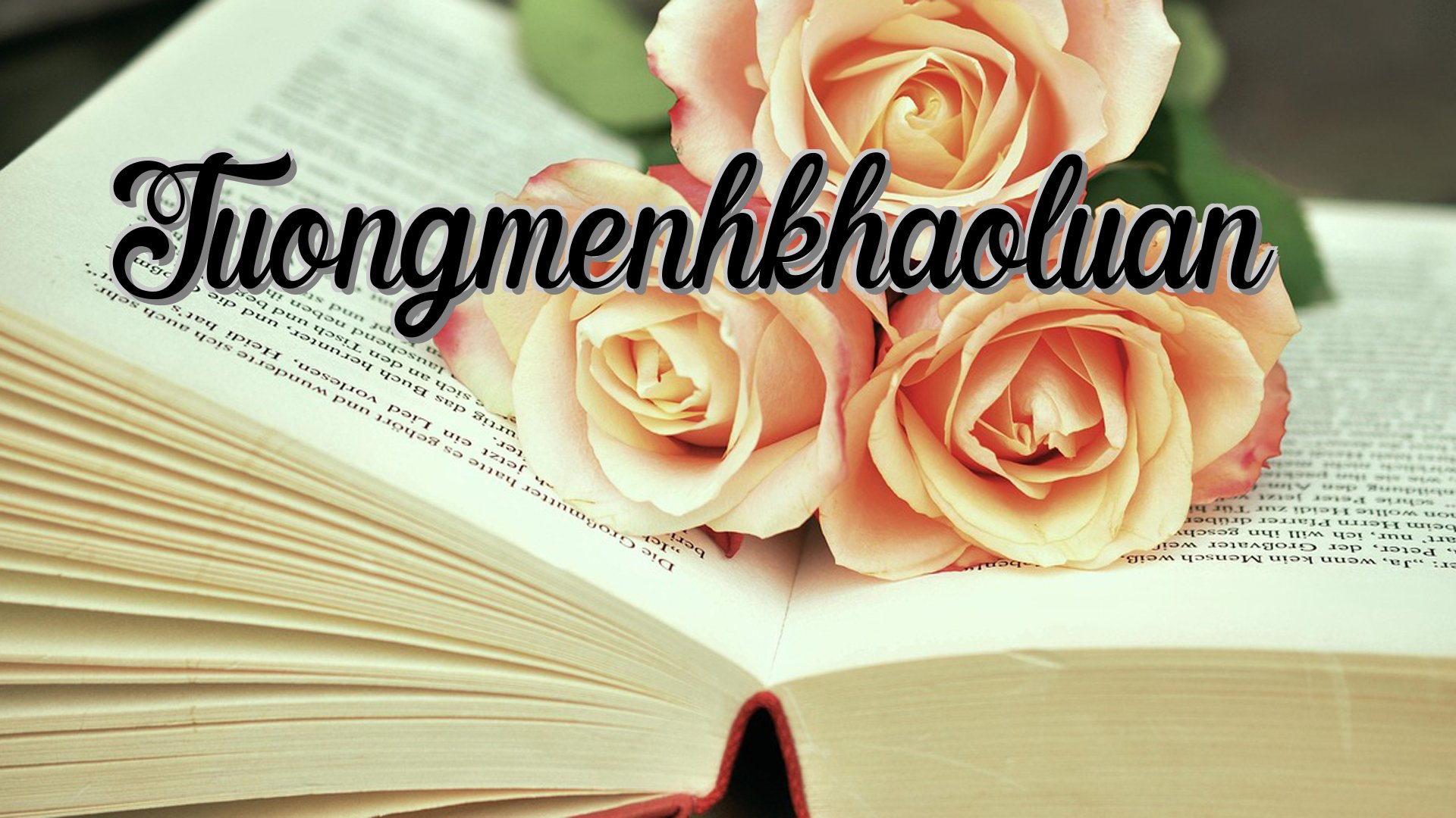 Cover image for Tuongmenhkhaoluan